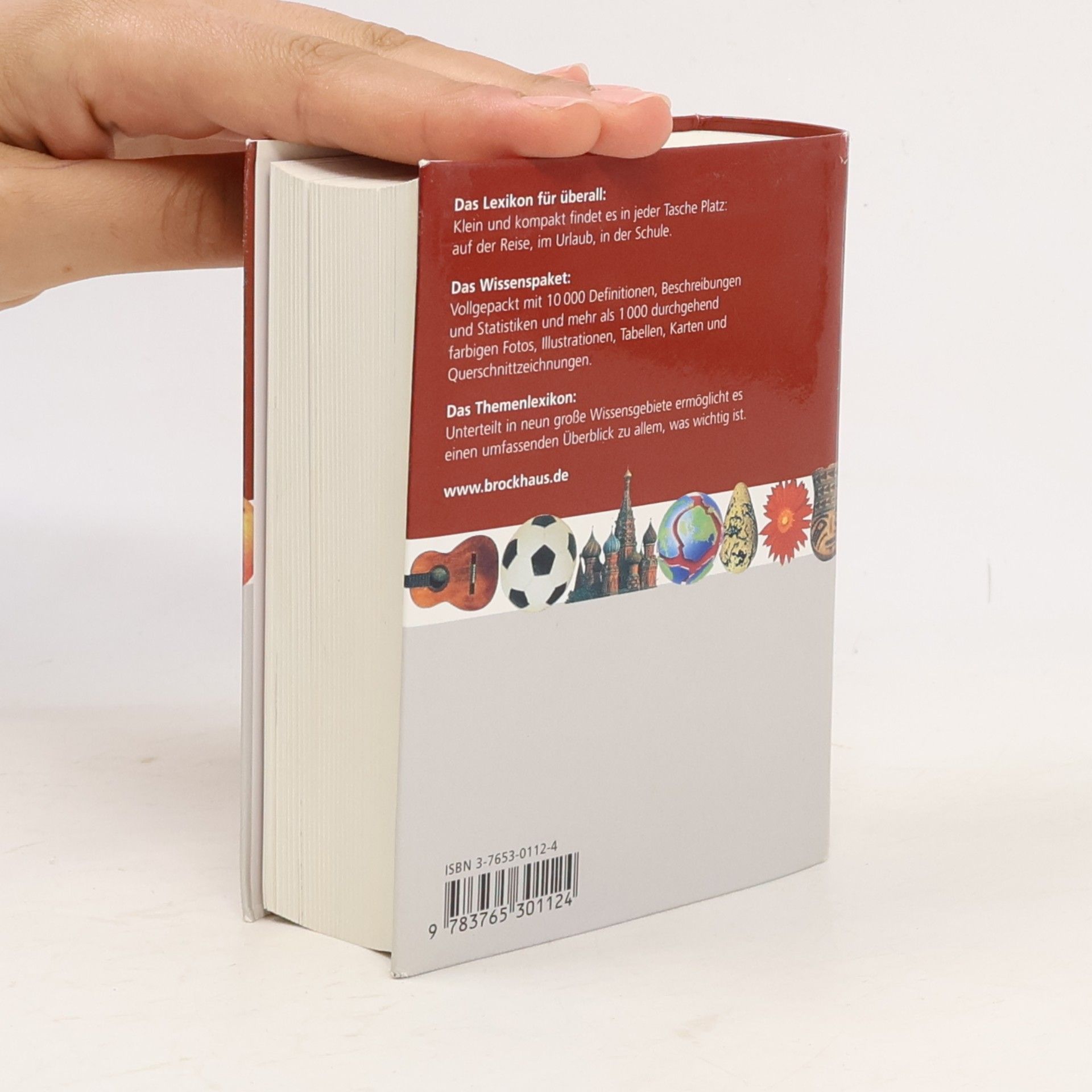 Ulrike Emrich Der Taschen-Brockhaus