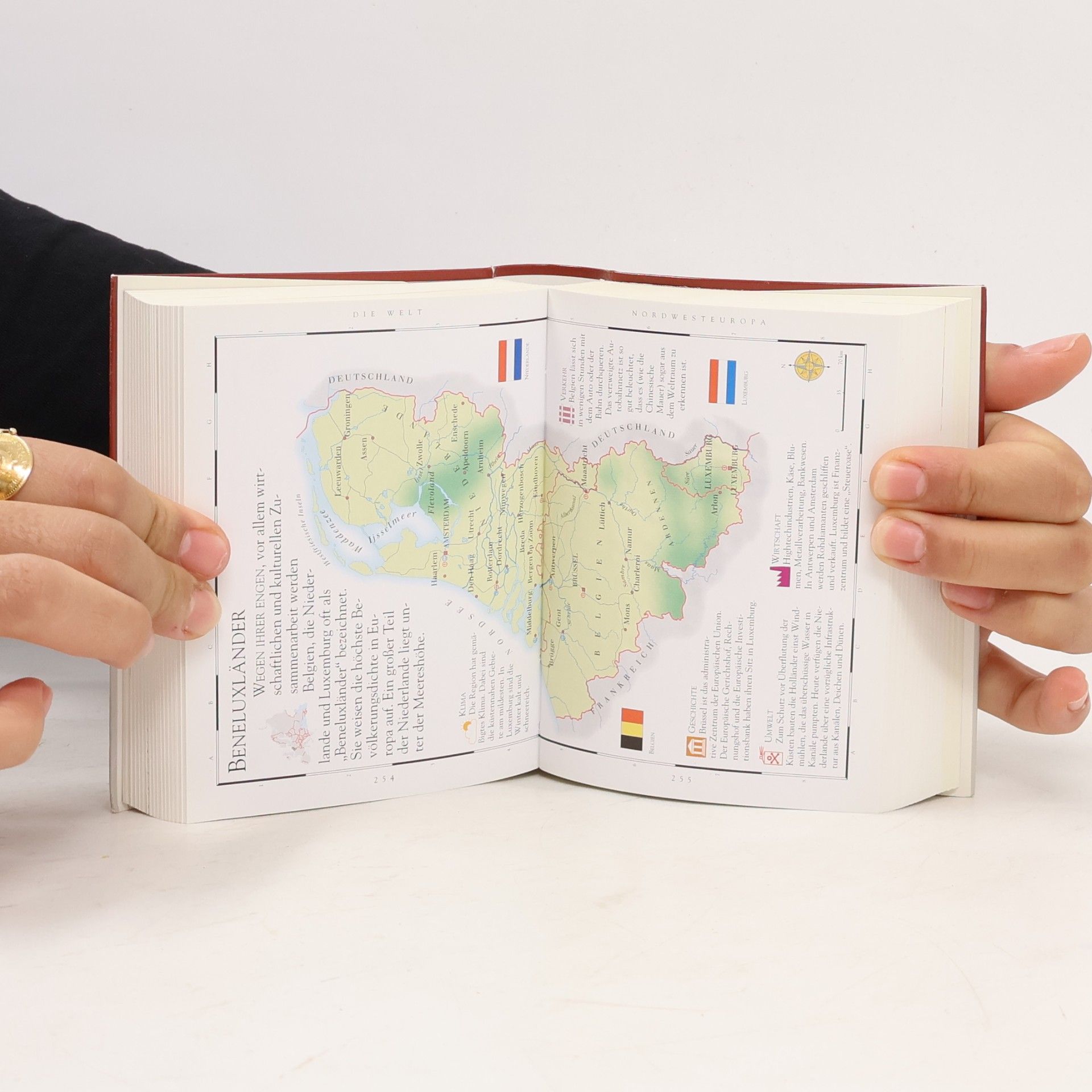 Ulrike Emrich Der Taschen-Brockhaus