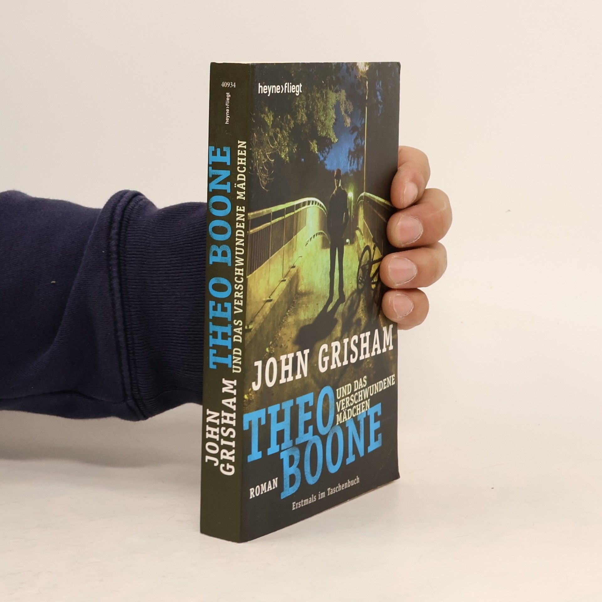 Theo Boone und das verschwundene Mädchen
