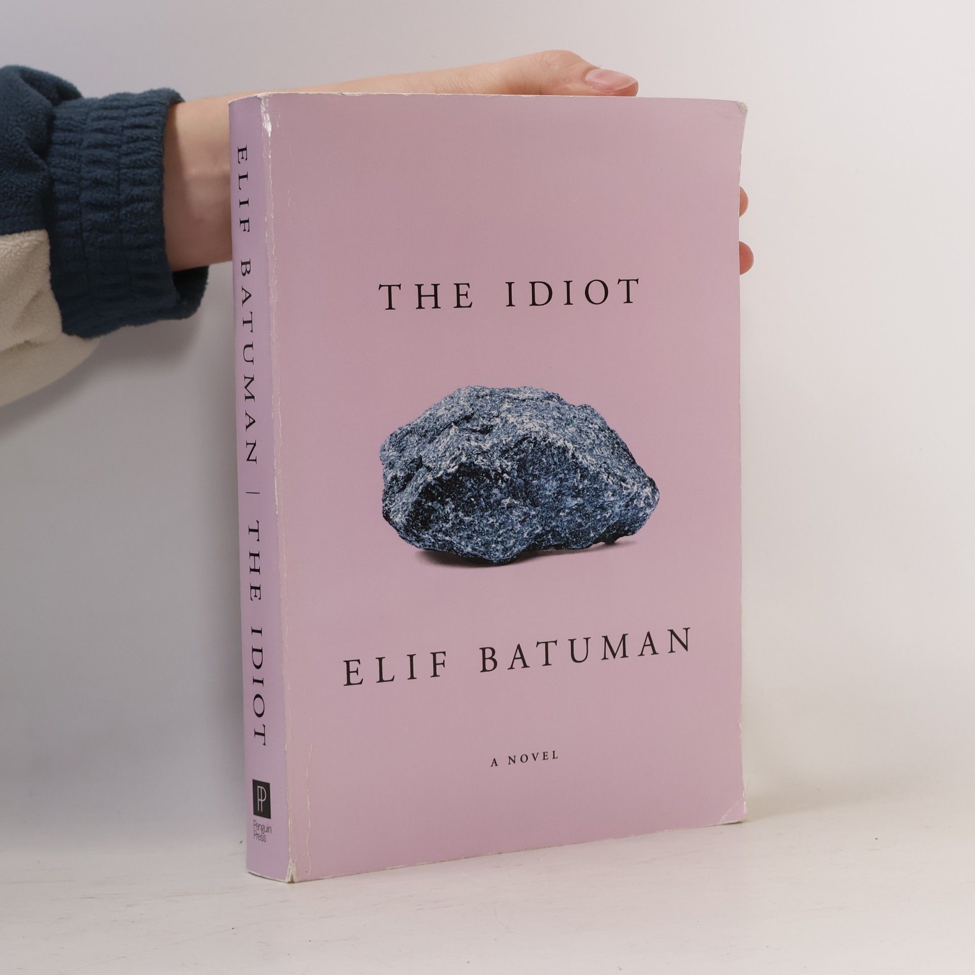 Elif Batuman The Idiot