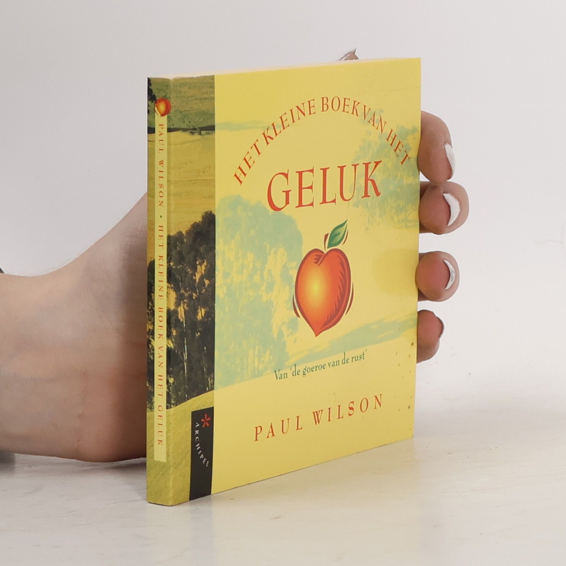 Het kleine boek van het geluk