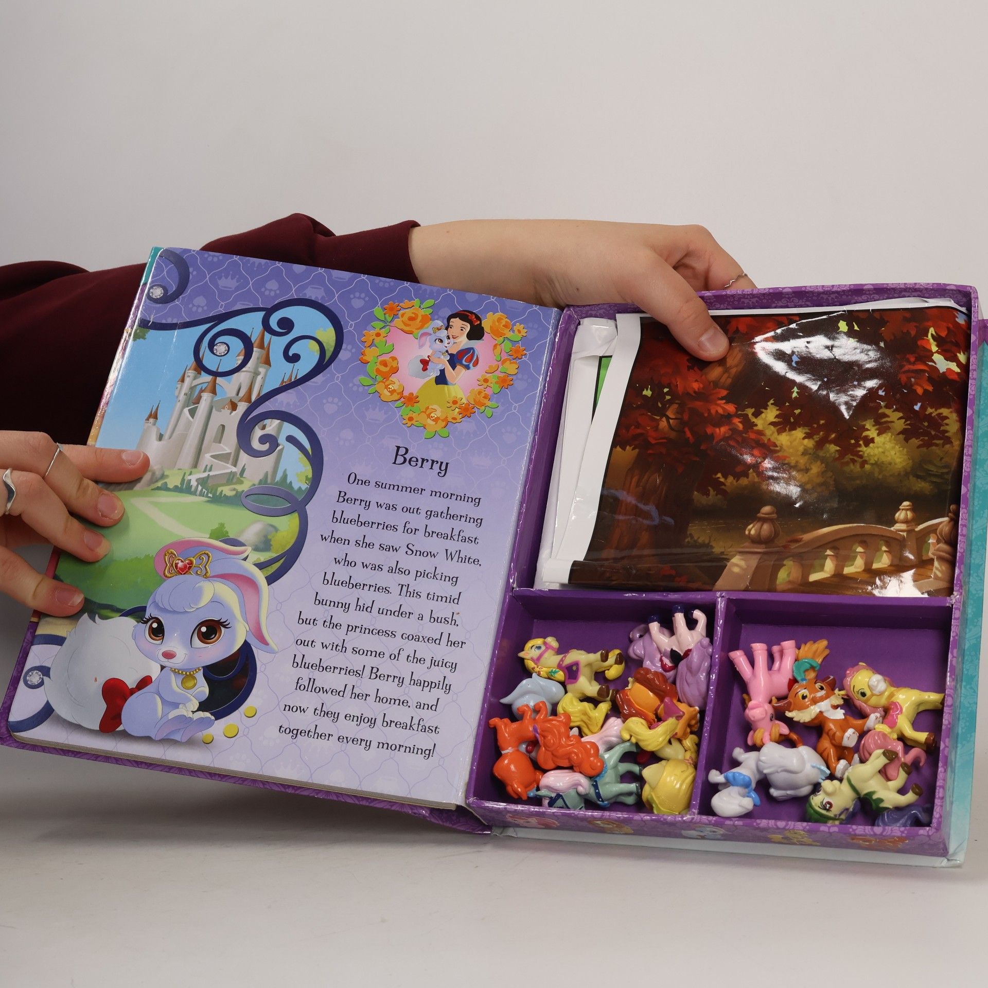 Walt Disney Palace pets : my busy book