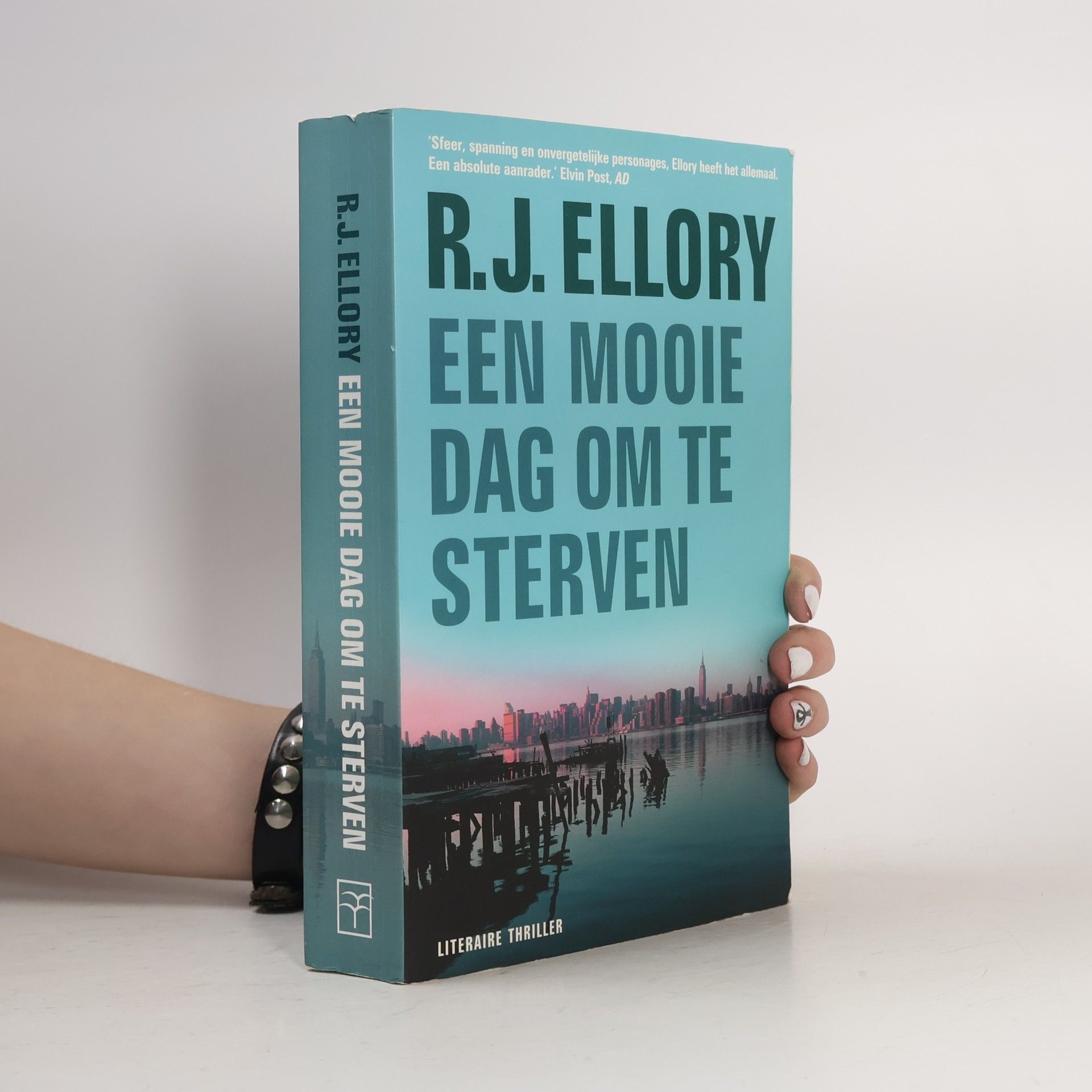 Roger Jon Ellory Een mooie dag om te sterven
