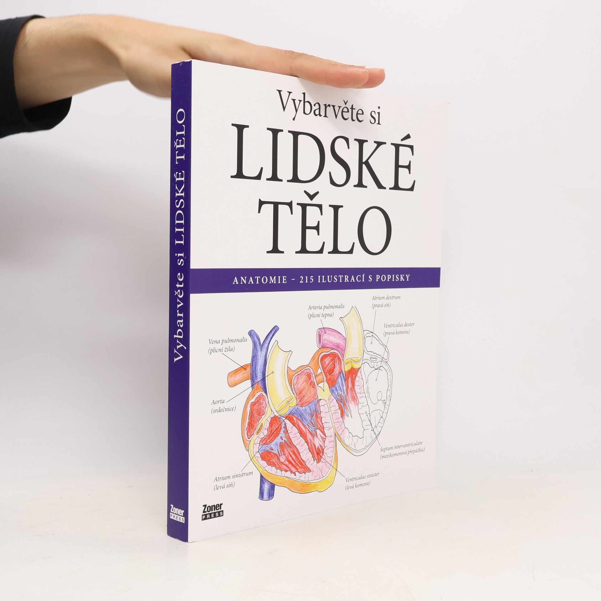 Evelína Kovácsová Vybarvěte si lidské tělo : anatomie - 215 ilustrací s popisky