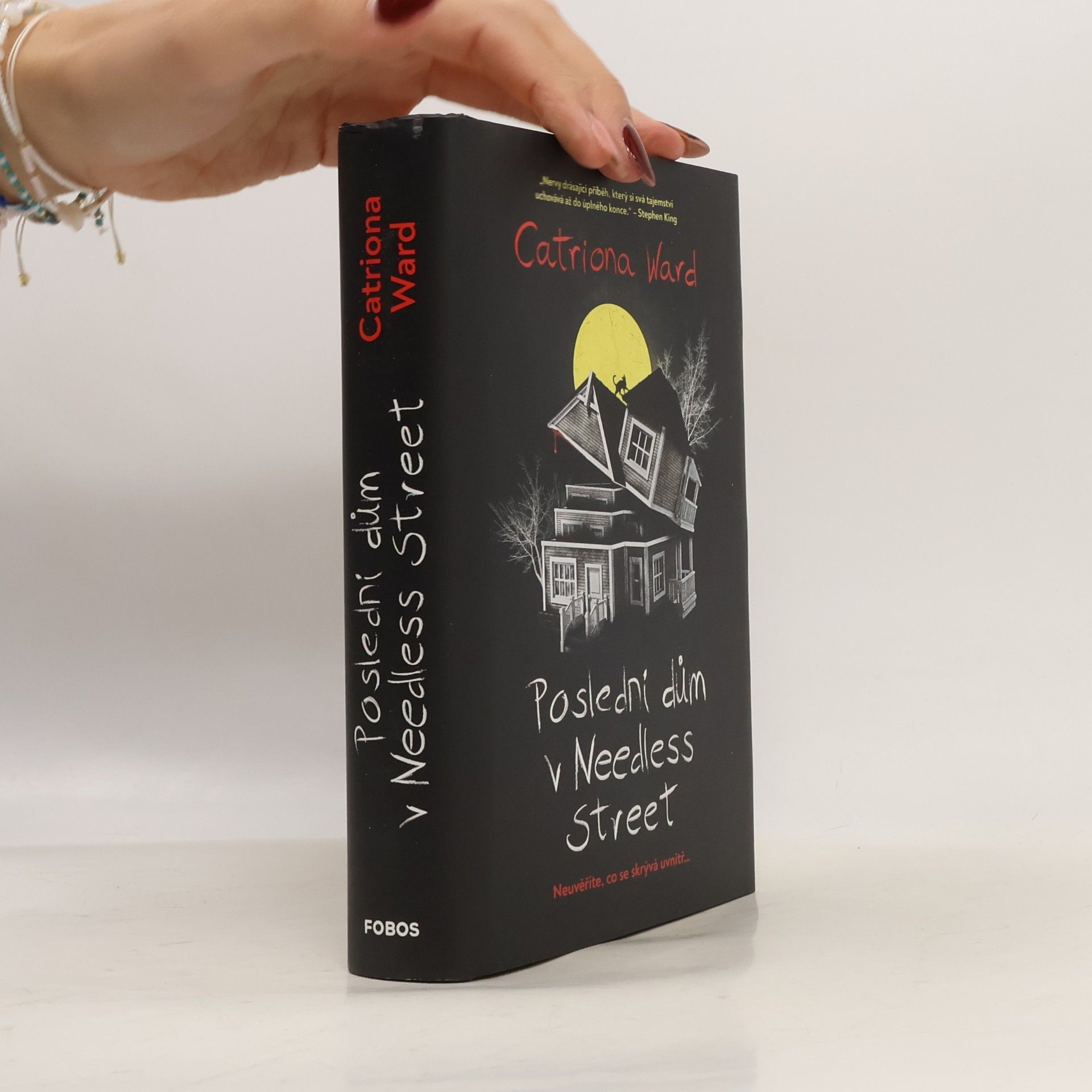 Catriona Ward Poslední dům v Needless Street