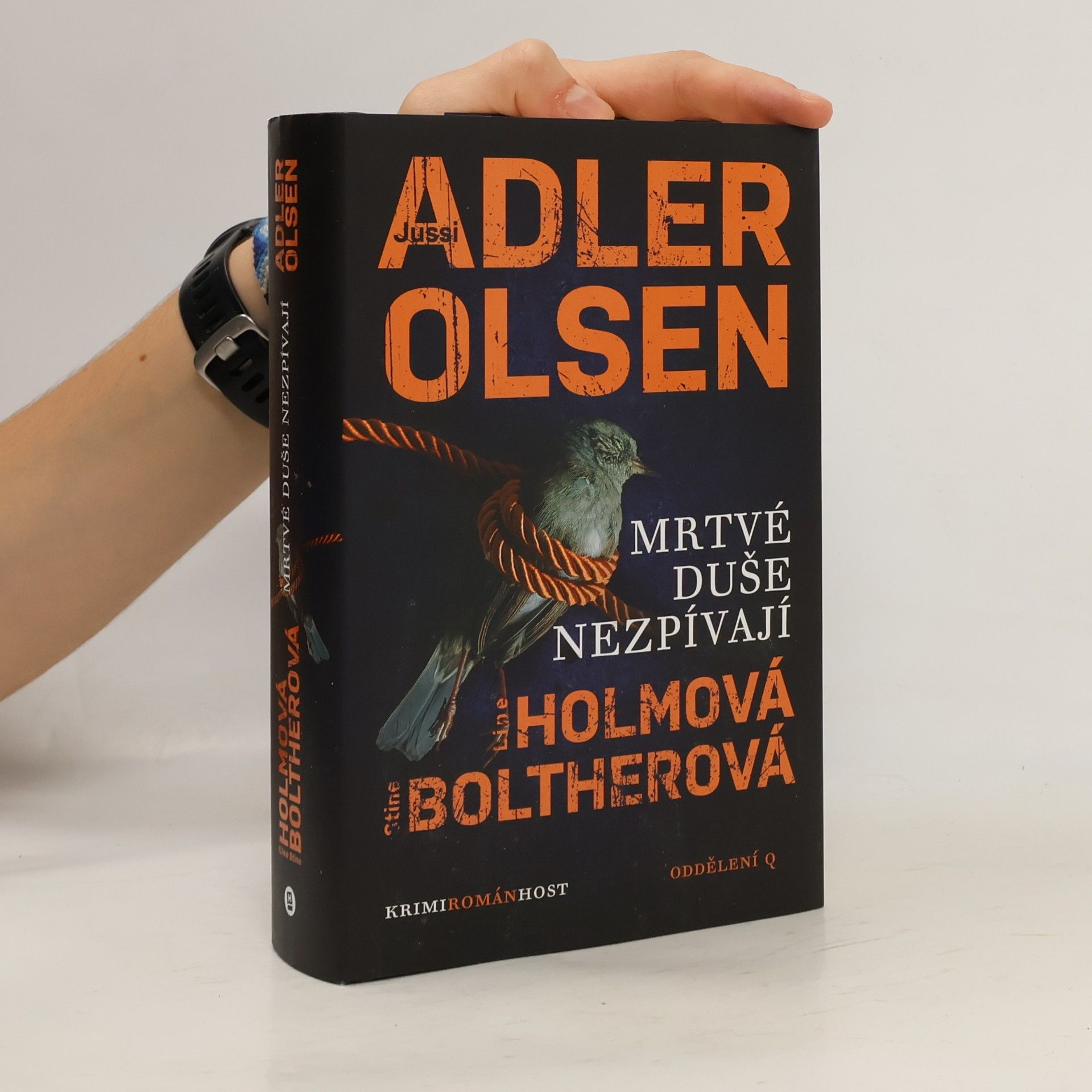 Stine Bolther Mrtvé duše nezpívají