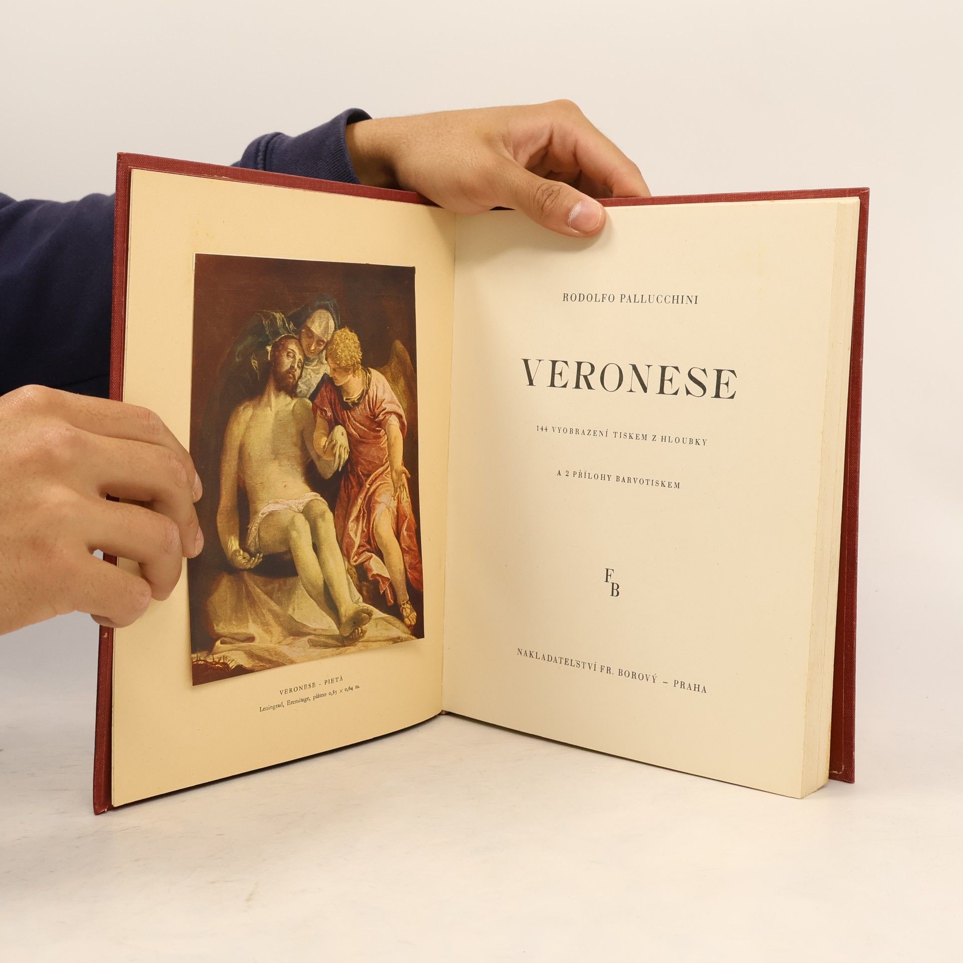Rodolfo Palluchini Veronese