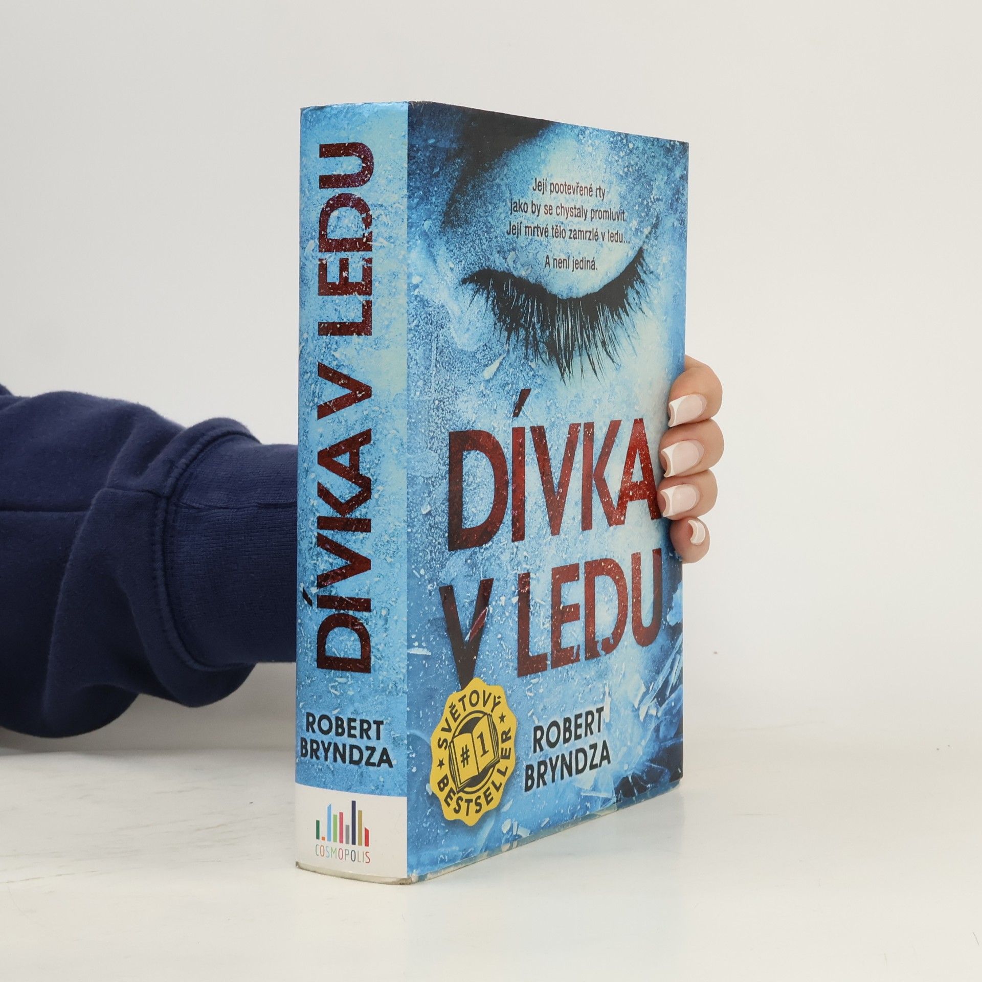 Robert Bryndza Dívka v ledu