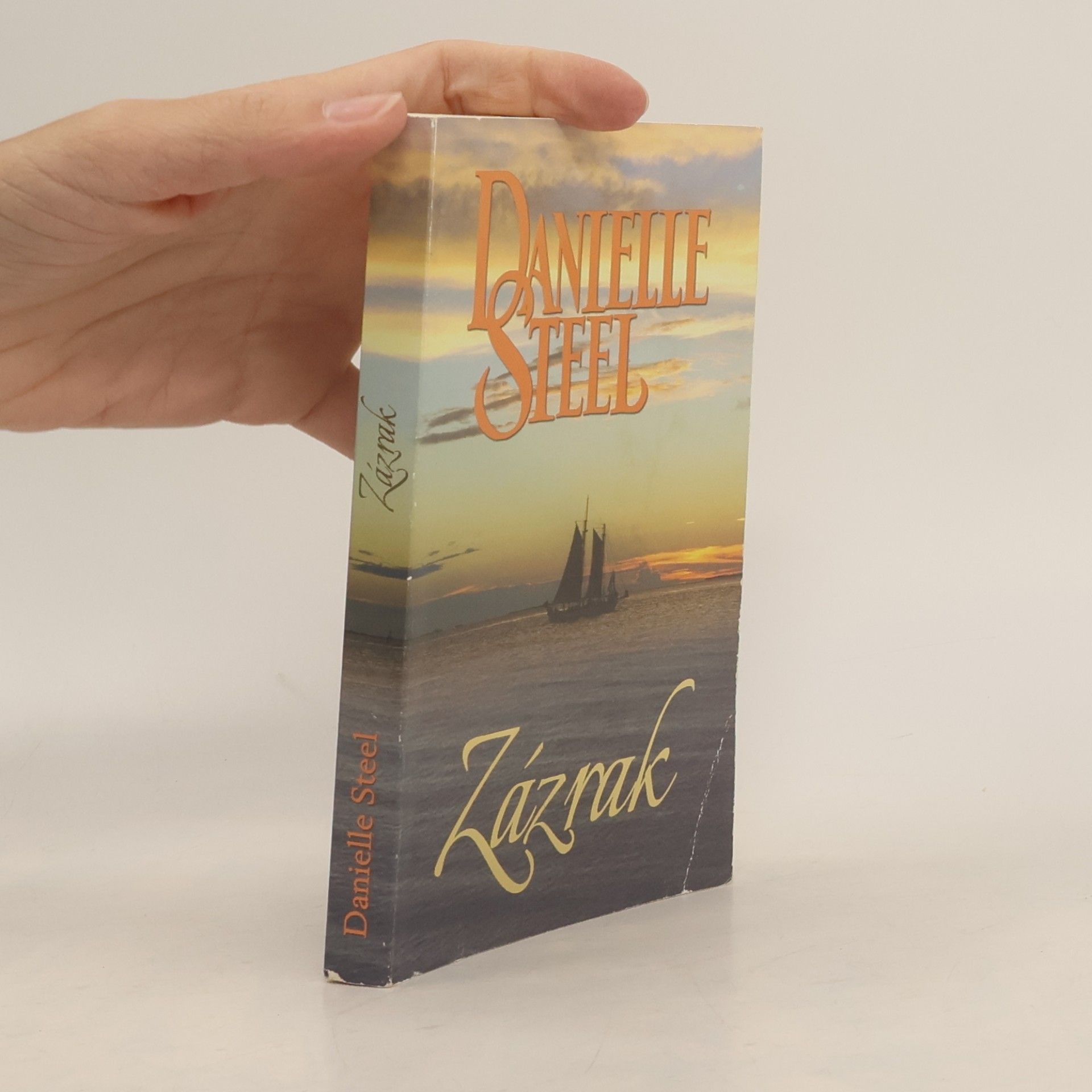 Danielle Steel Zázrak