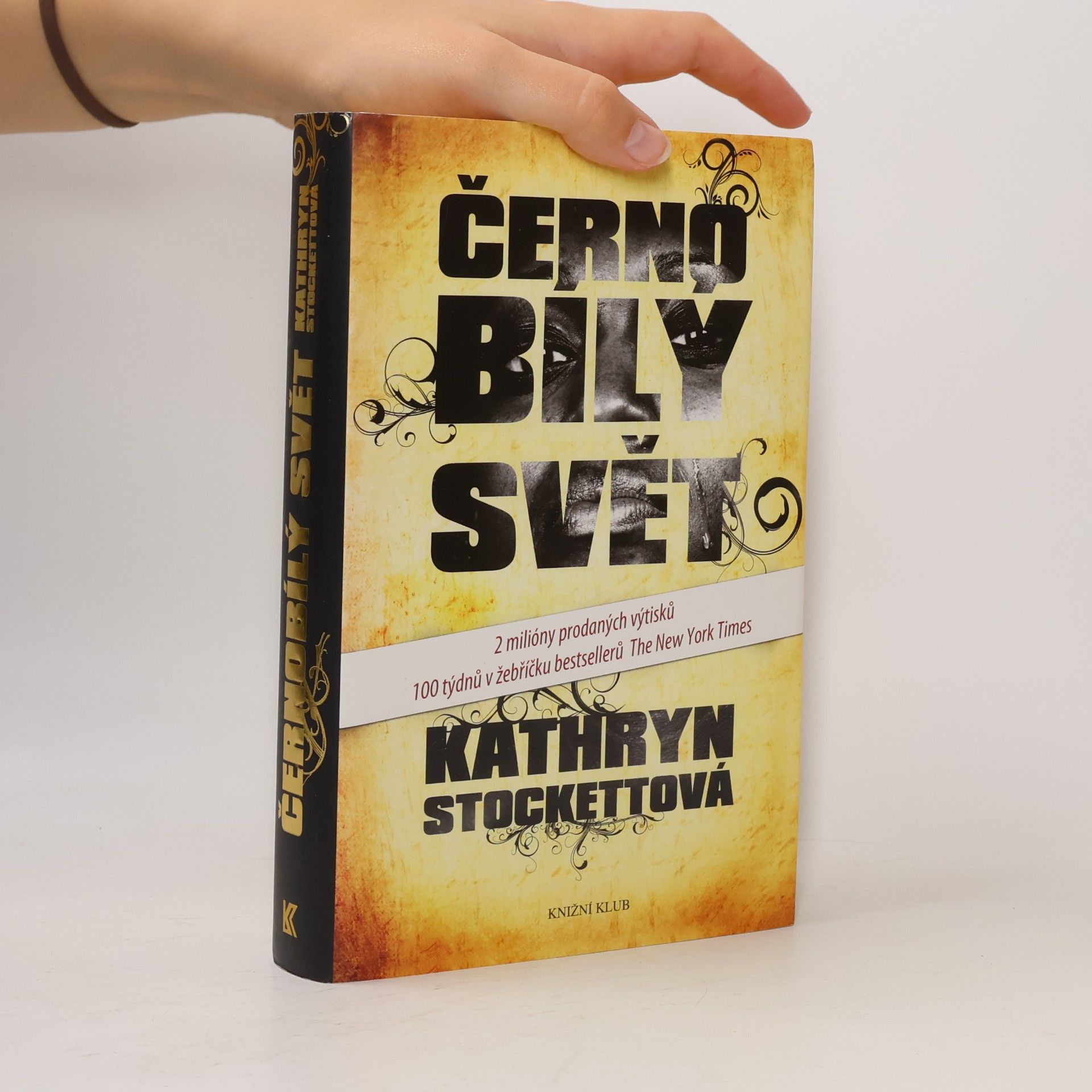Kathryn Stockett Černobílý svět