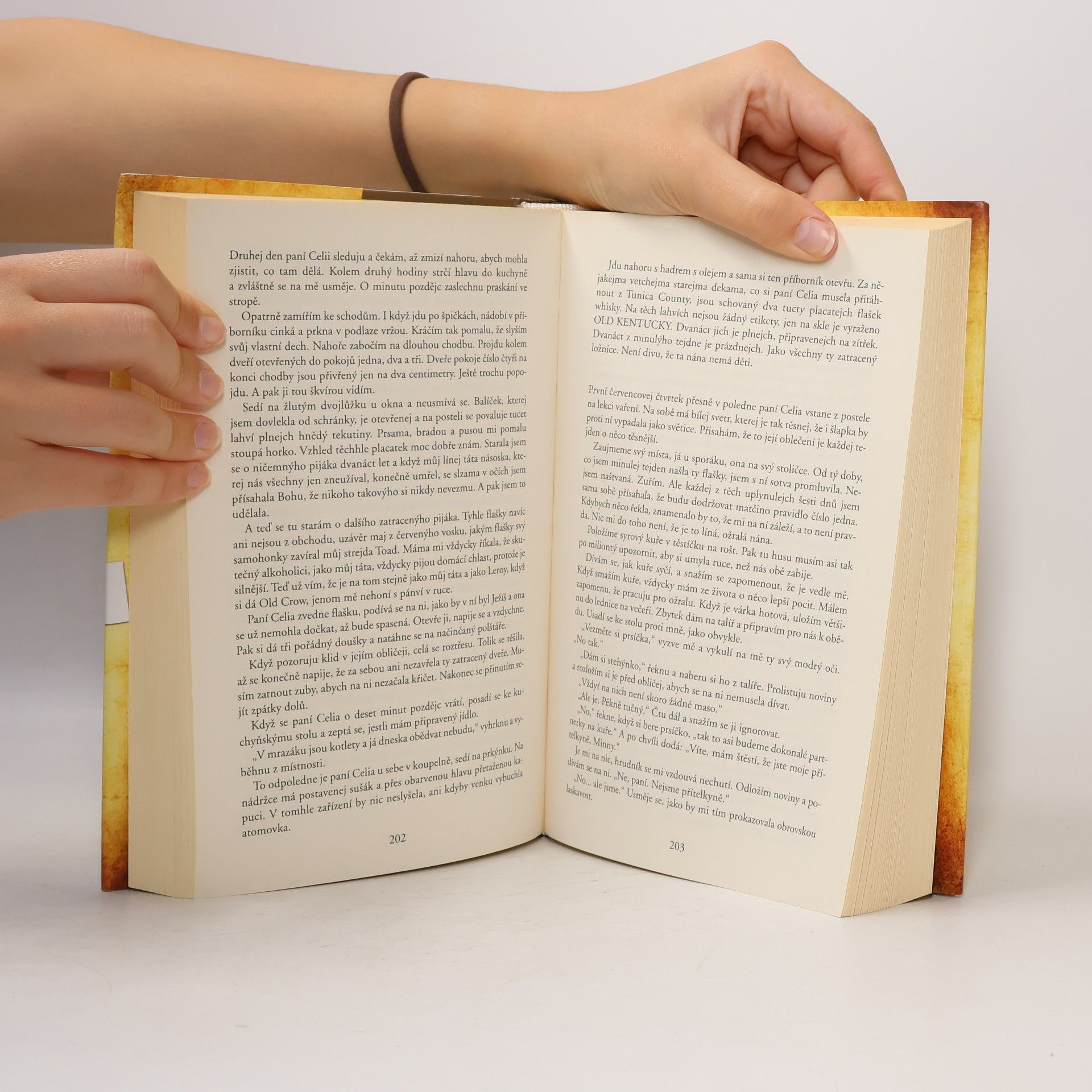 Kathryn Stockett Černobílý svět