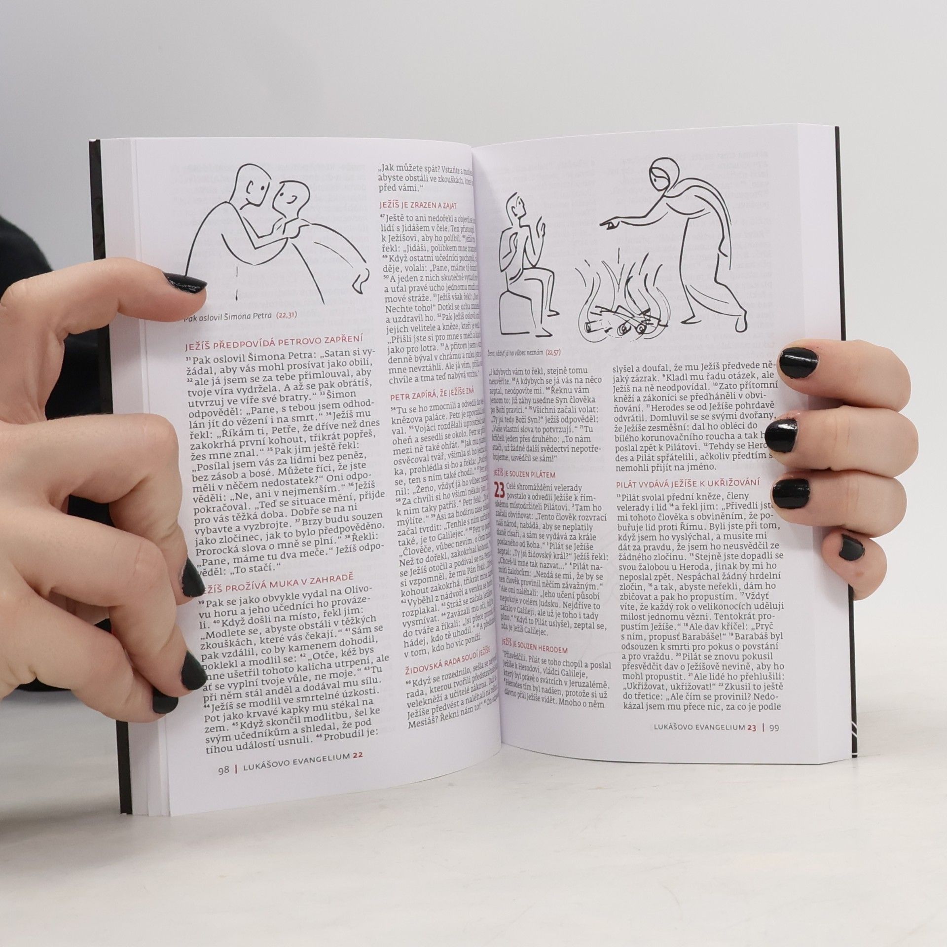 Autorenkollektiv Nový zákon. Slovo na cestu
