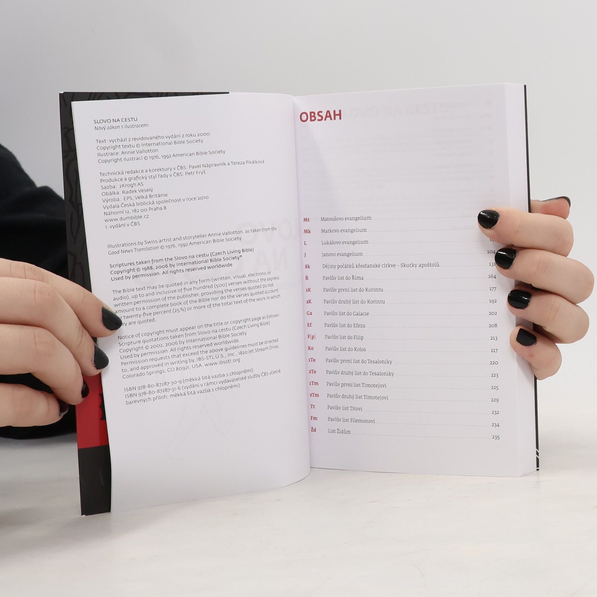 Autorenkollektiv Nový zákon. Slovo na cestu