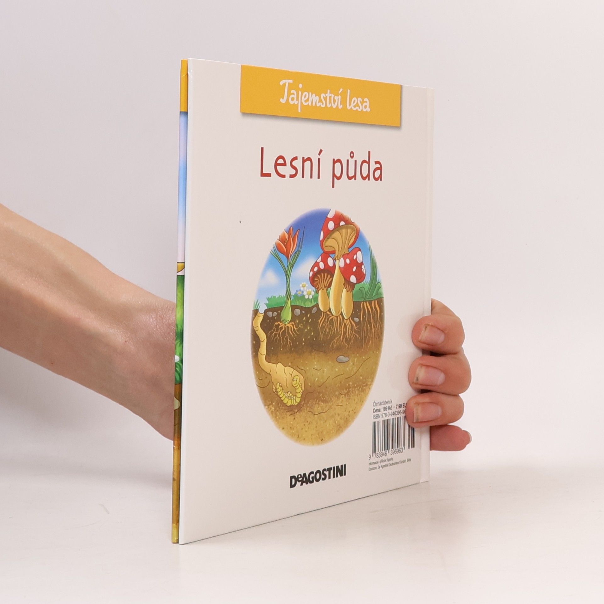 Autorenkollektiv Tajemství lesa 58. Lesní půda