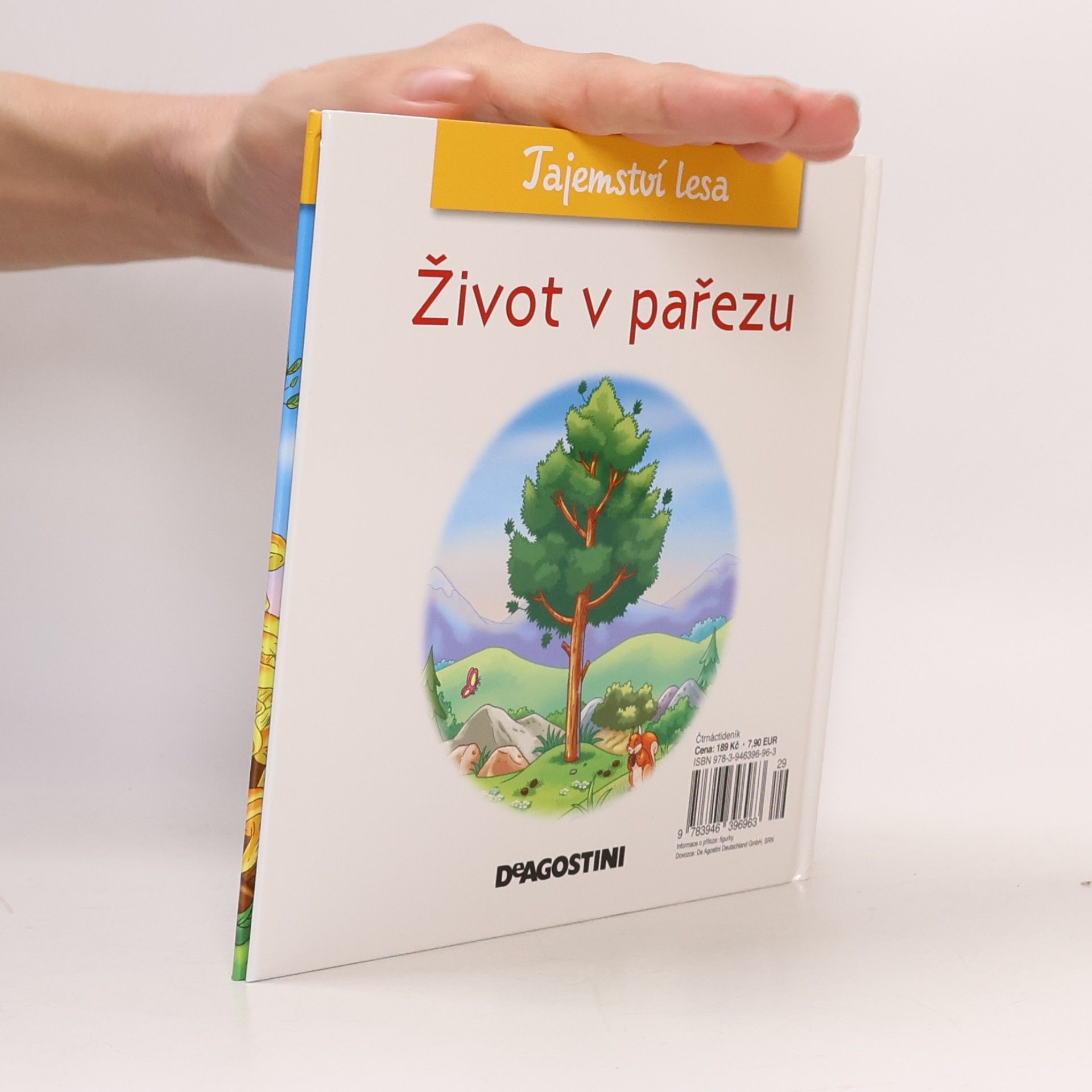 Various authors Tajemství lesa 50. Život v pařezu