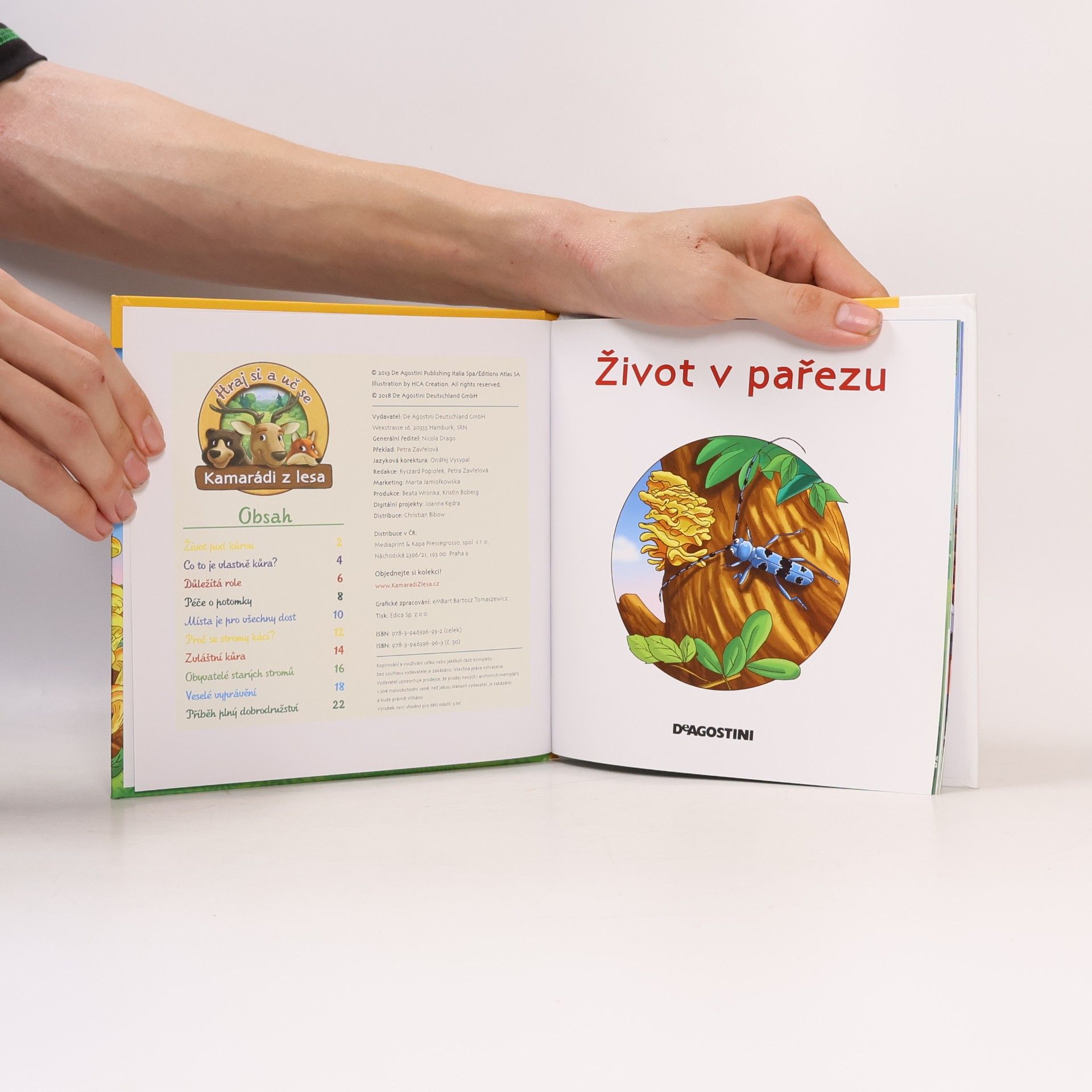 Various authors Tajemství lesa 50. Život v pařezu