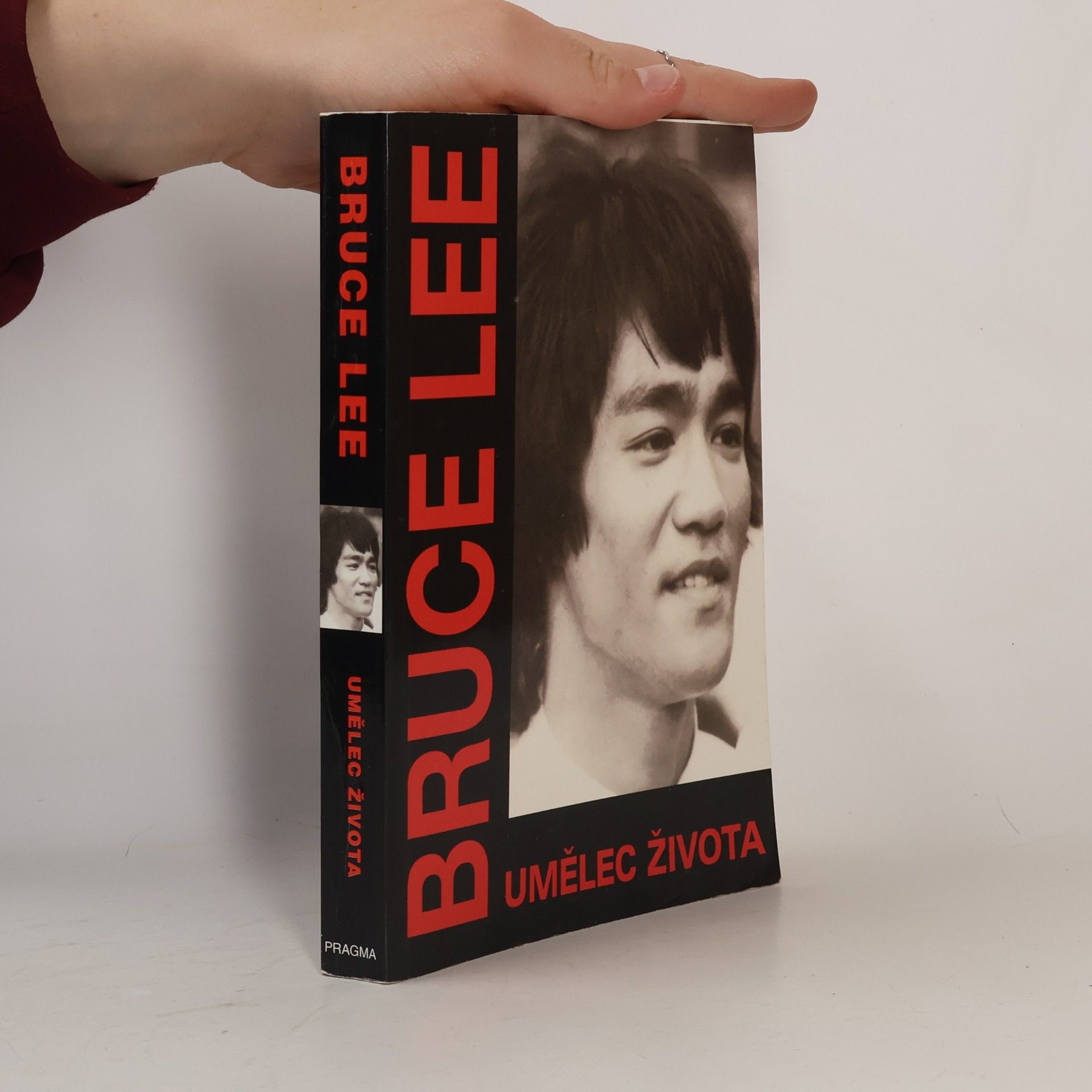 John R. Little Bruce Lee, umělec života