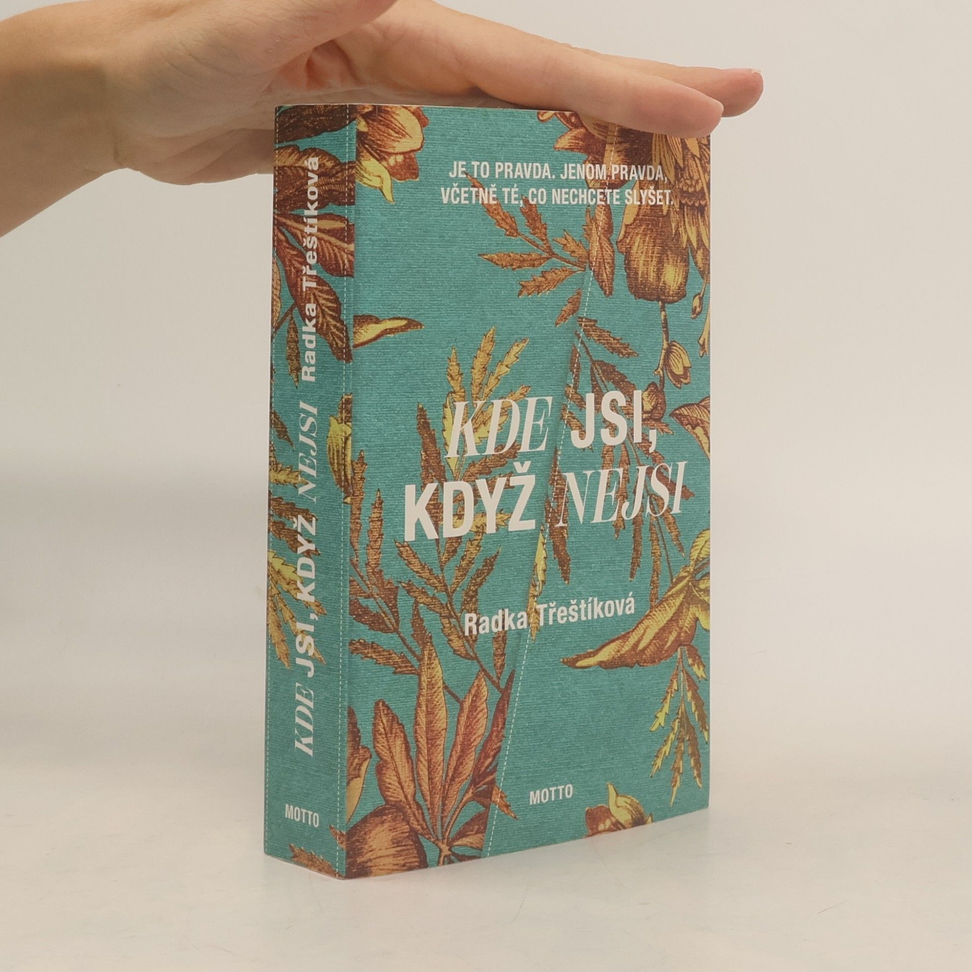 Radka Třeštíková Kde jsi, když nejsi
