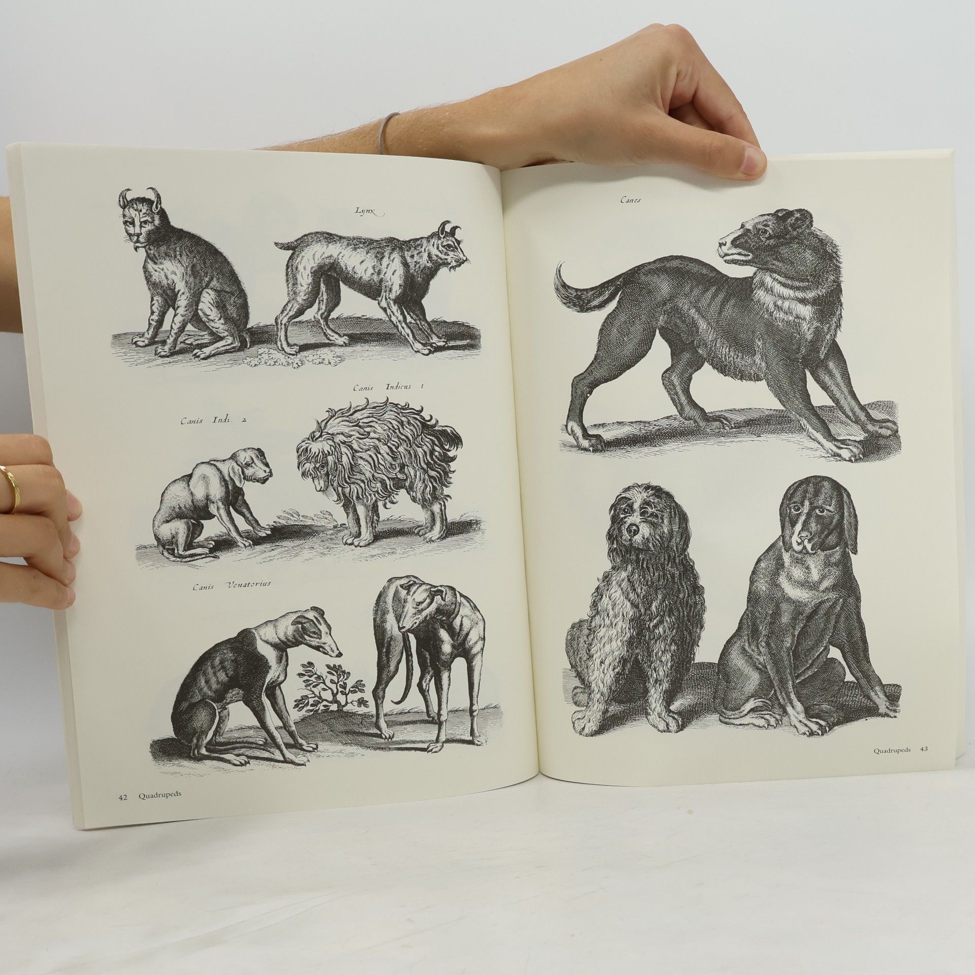 Matthäus Merian 1300 Real and Fanciful Animals