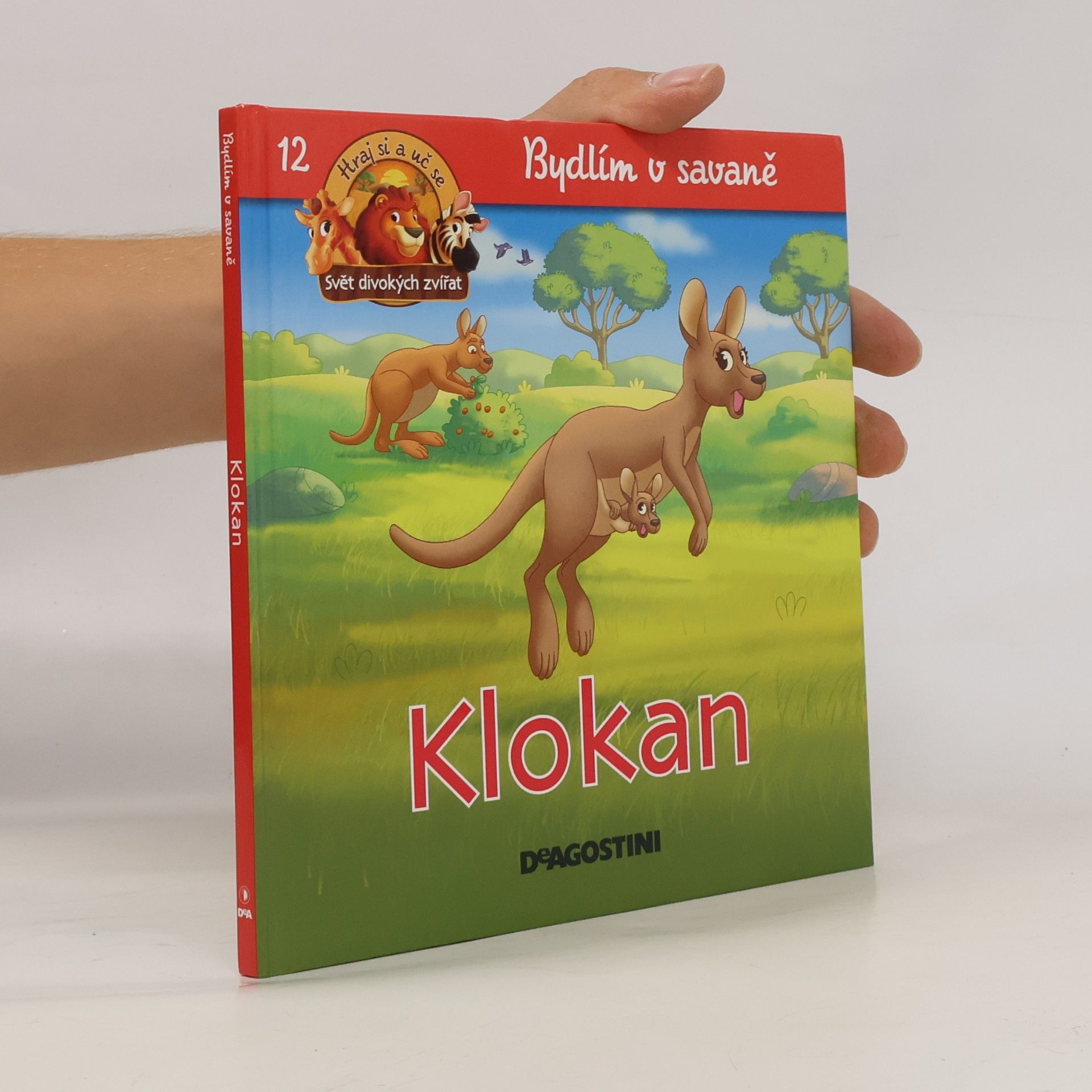 kolektiv Bydlím v savaně 12. Klokan