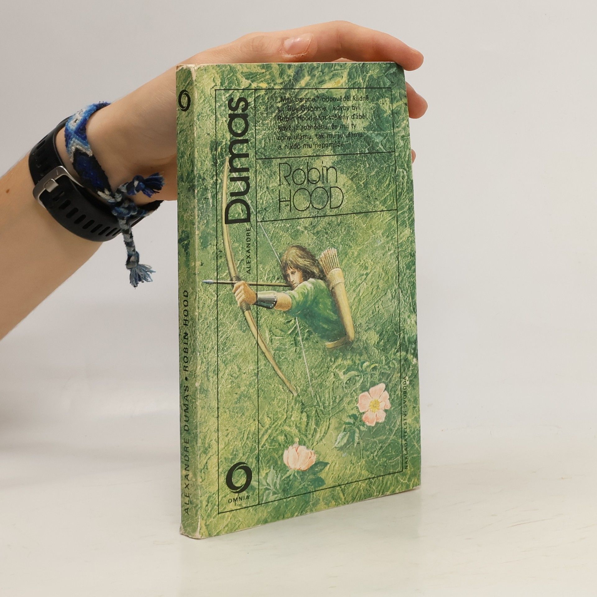 Alexandre Dumas Robin Hood