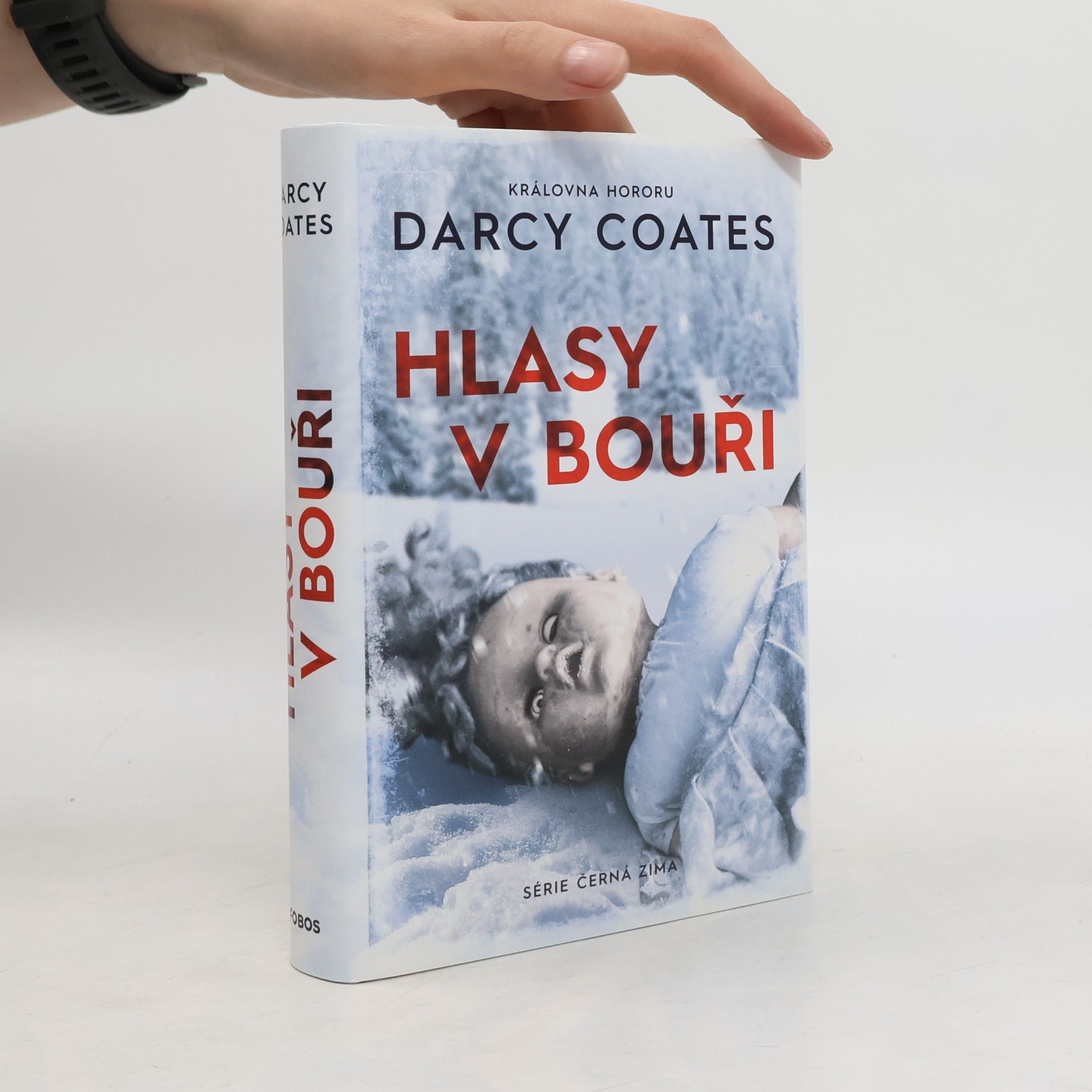 Darcy Coates Hlasy v bouři