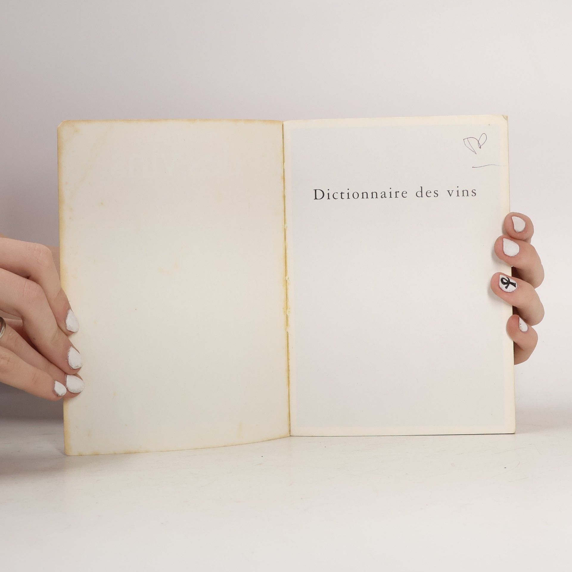 Gérard Debuigne Dictionnaire des Vins