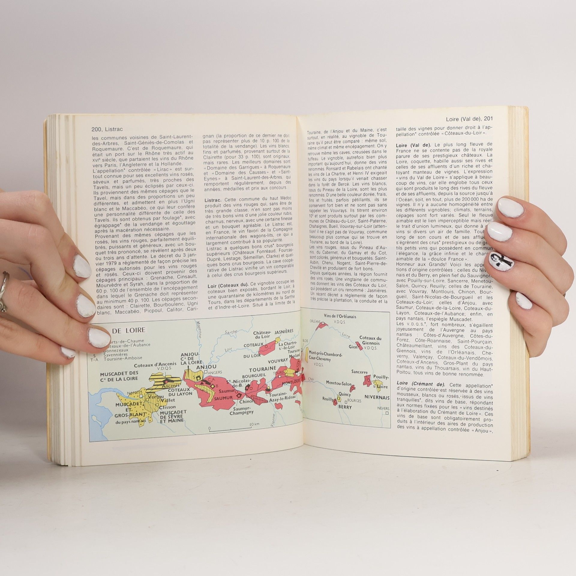 Gérard Debuigne Dictionnaire des Vins
