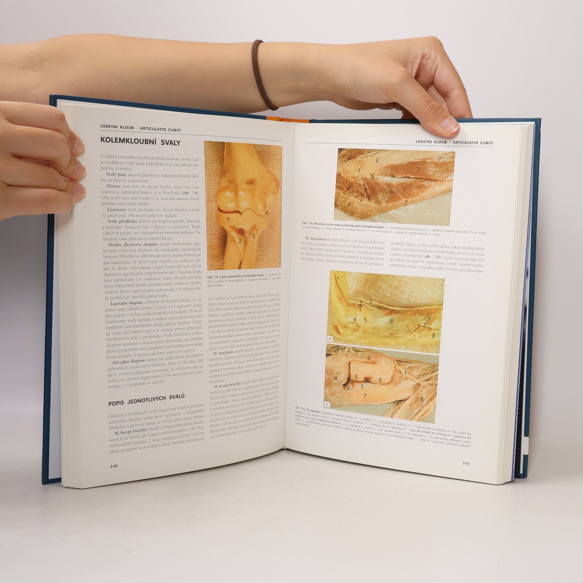 Jan Bartoníček Základy klinické anatomie pohybového aparátu