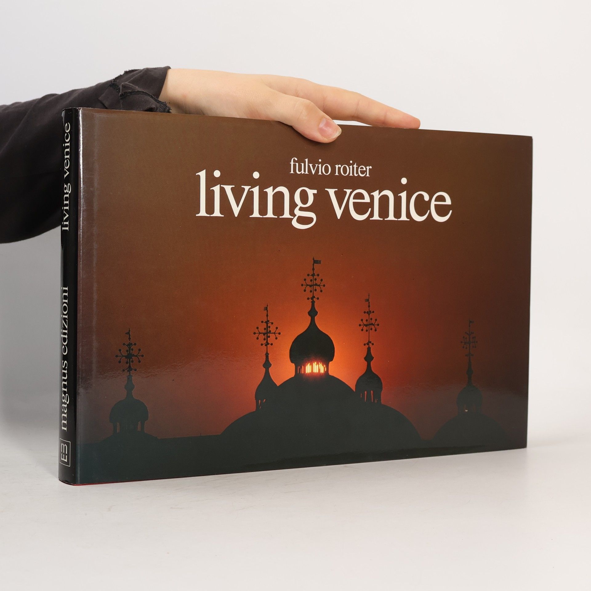 Fulvio Roiter Living Venice
