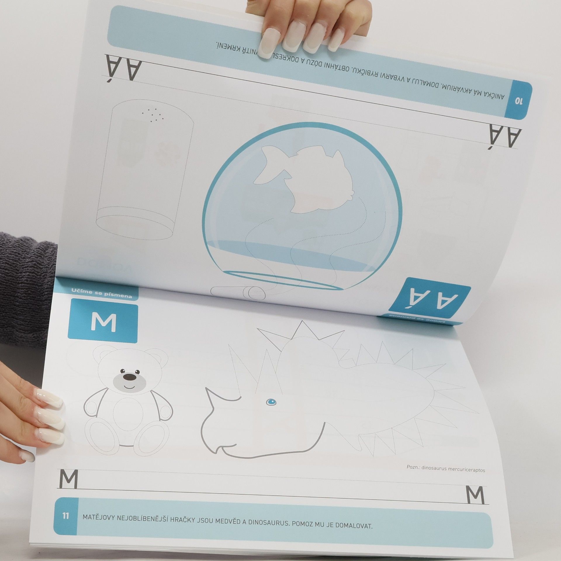 Autorenkollektiv Uvolňovací cviky pro písmenkov