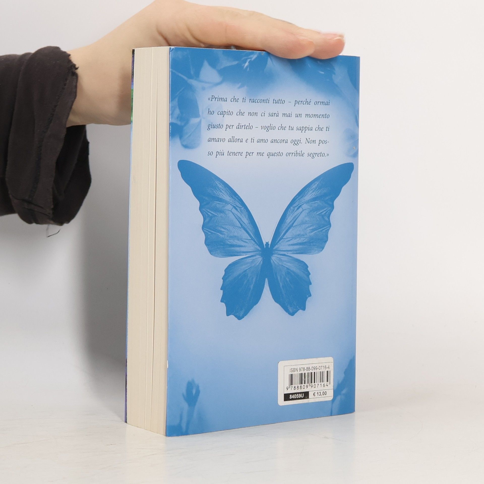 Lucinda Riley La stanza delle farfalle