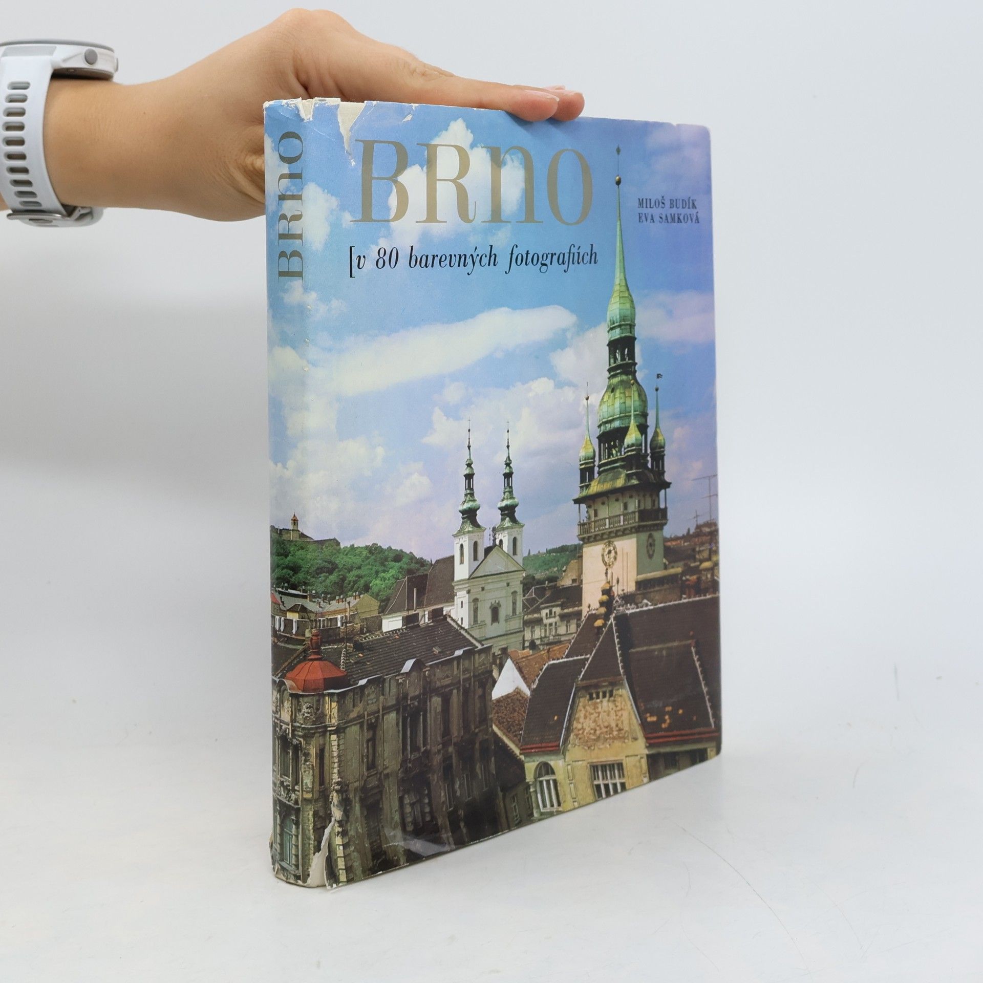 Eva Samková Brno. V 80 barevných fotografiích