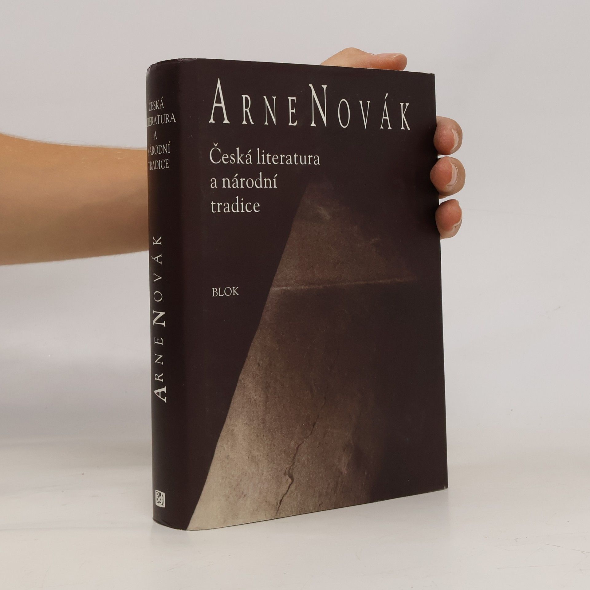 Česká literatura a národní tradice