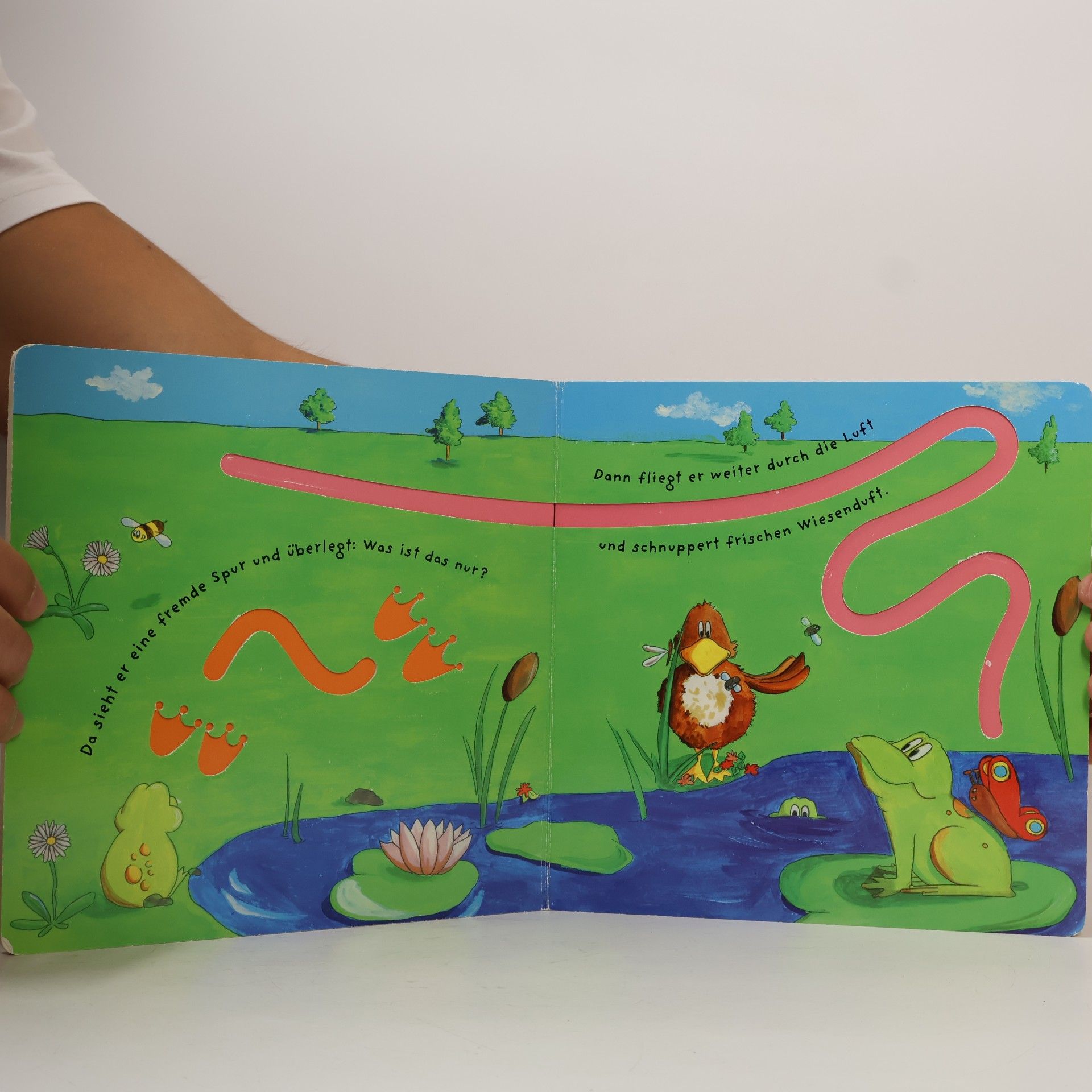 Johanna Fritz Mein Finger-Nachfahr-Buch durch die Natur
