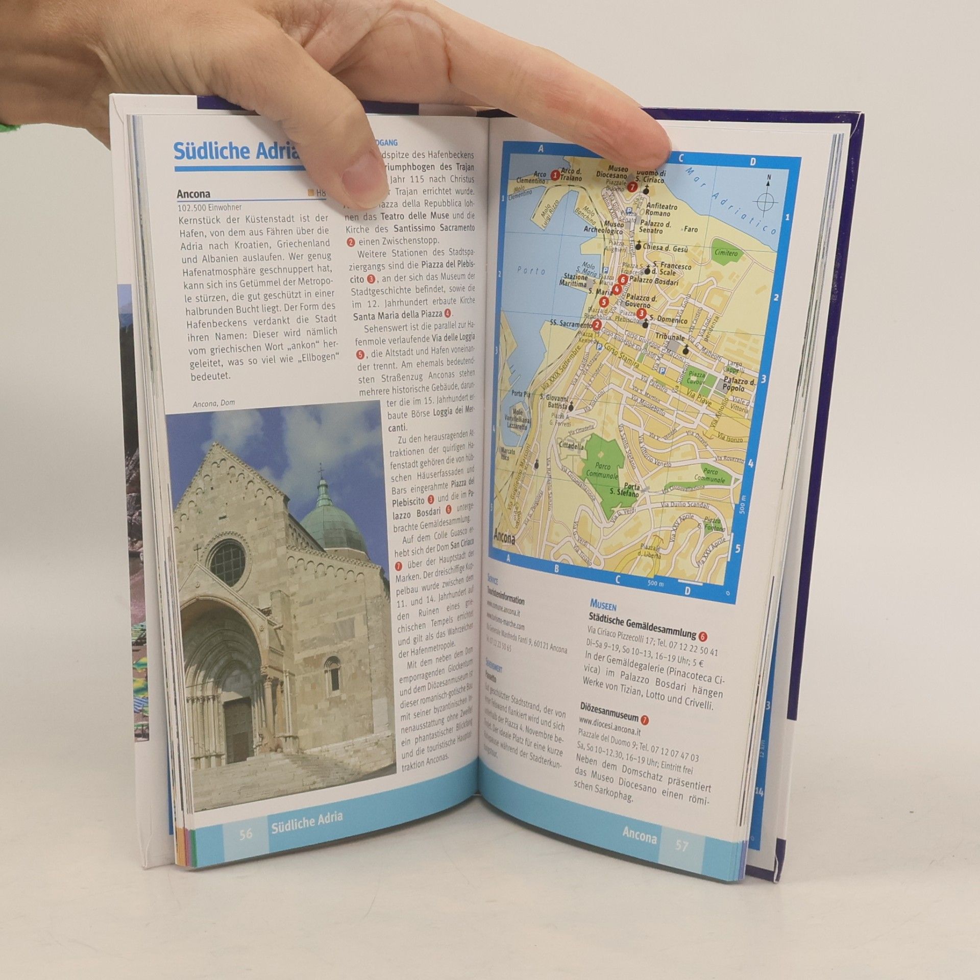 kolektiv Italienische Adria