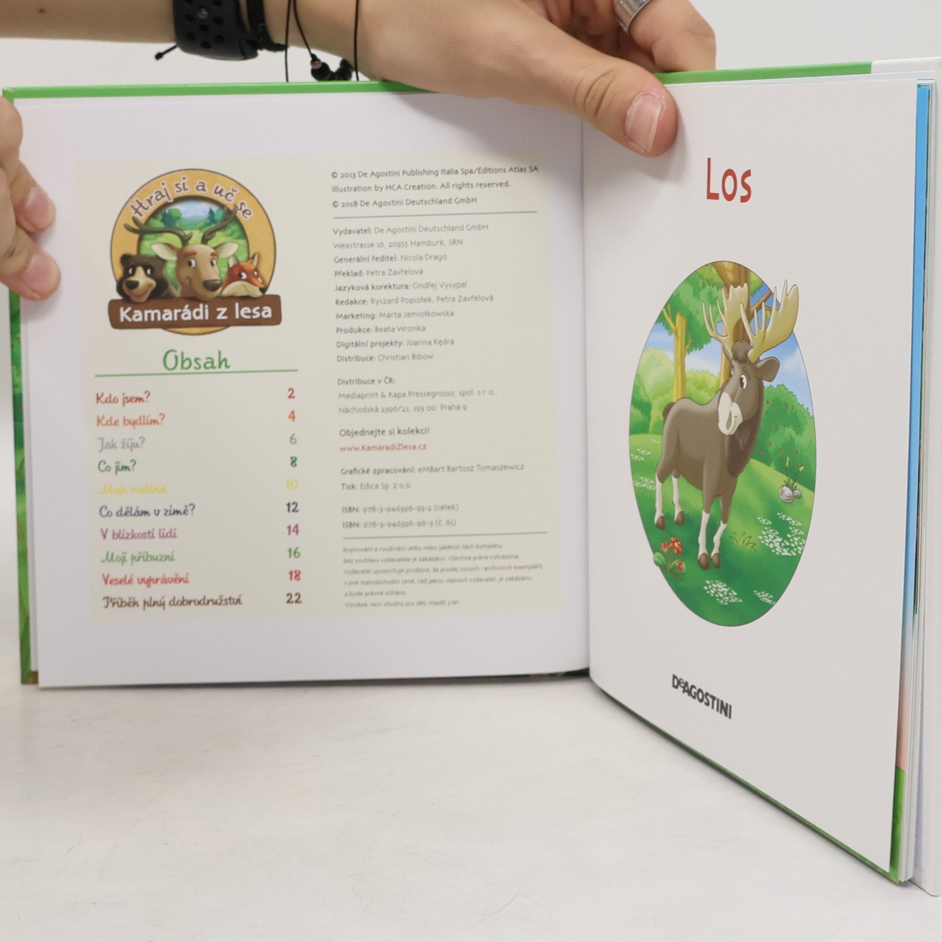 Kolektiv autorů Bydlím v lese 61. Los