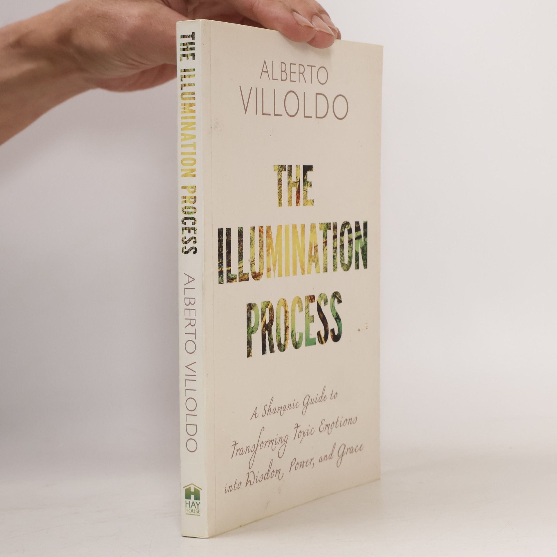 Alberto Villoldo The Illumination Process: A Shamanic Guide to Transforming Toxic Emotions into Wisdom, Power, and Grace