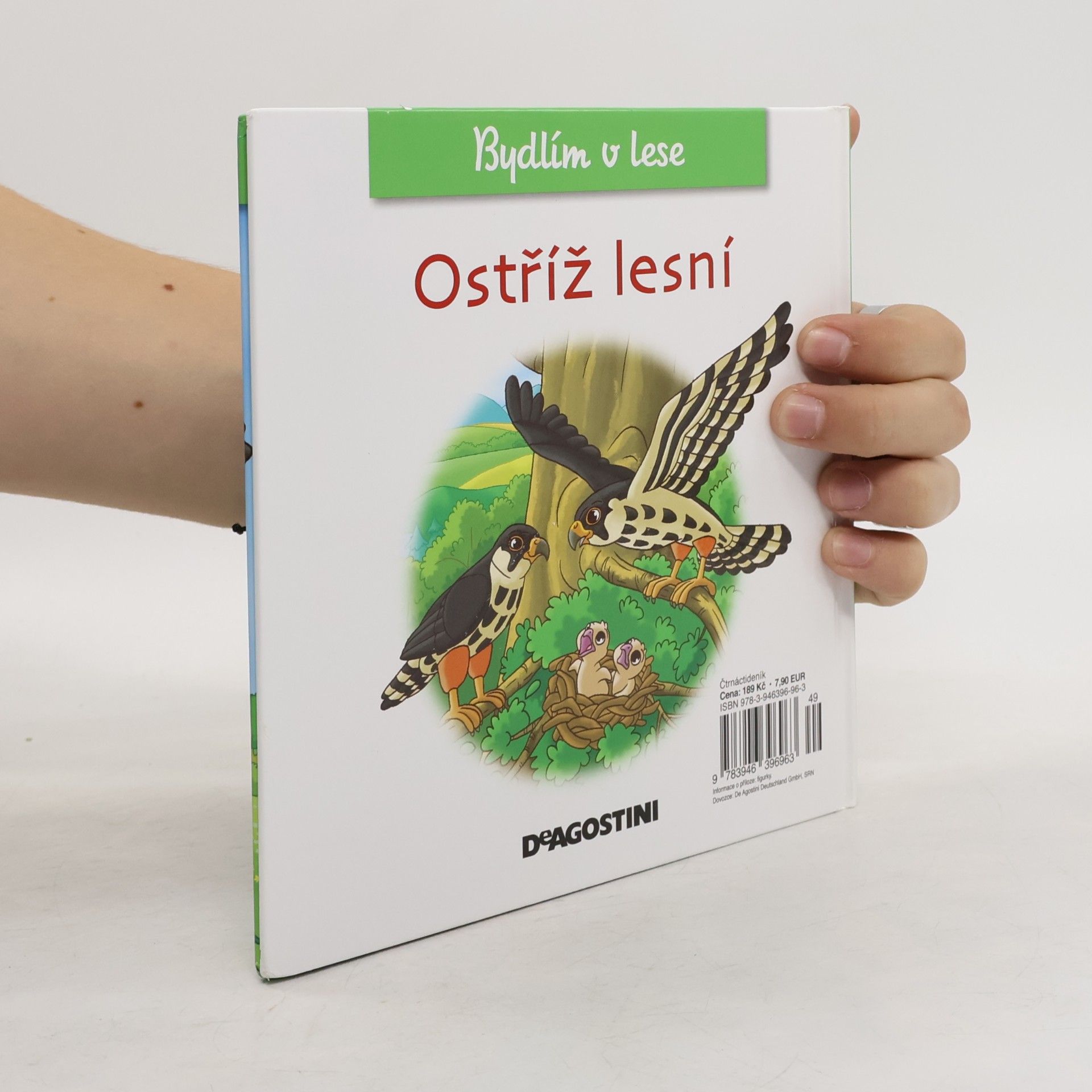 Kolektiv autorů Bydlím v lese. Ostříž lesní. 34
