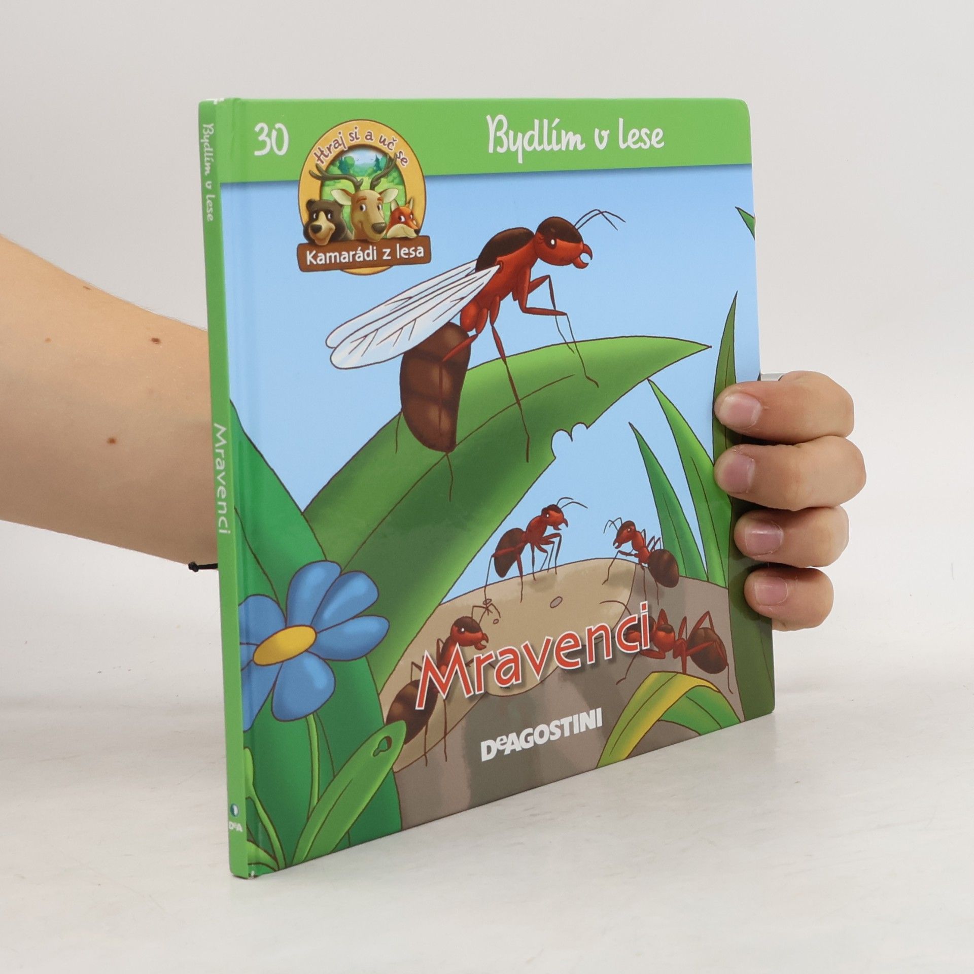 Kolektiv autorů Bydlím v lese