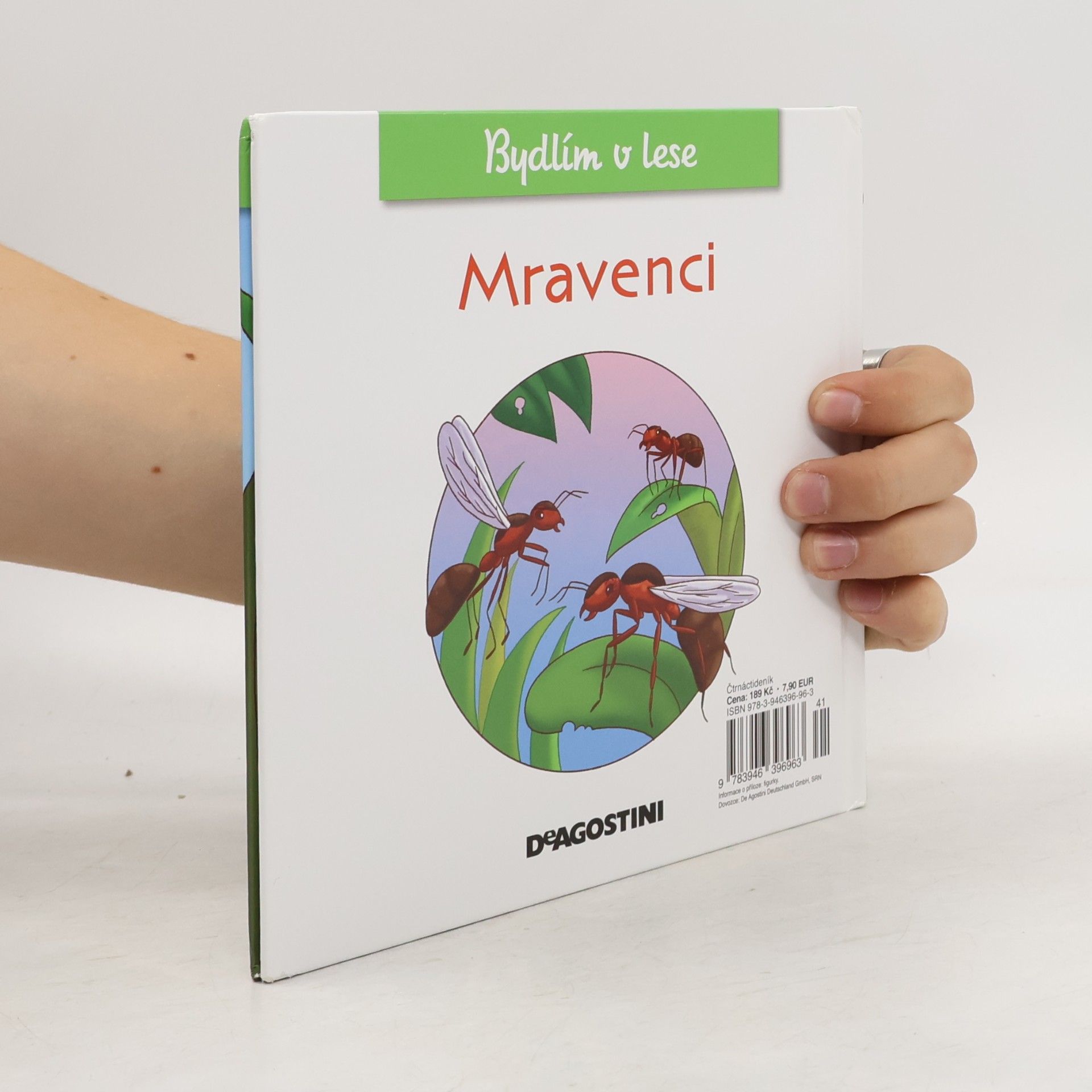 Kolektiv autorů Bydlím v lese