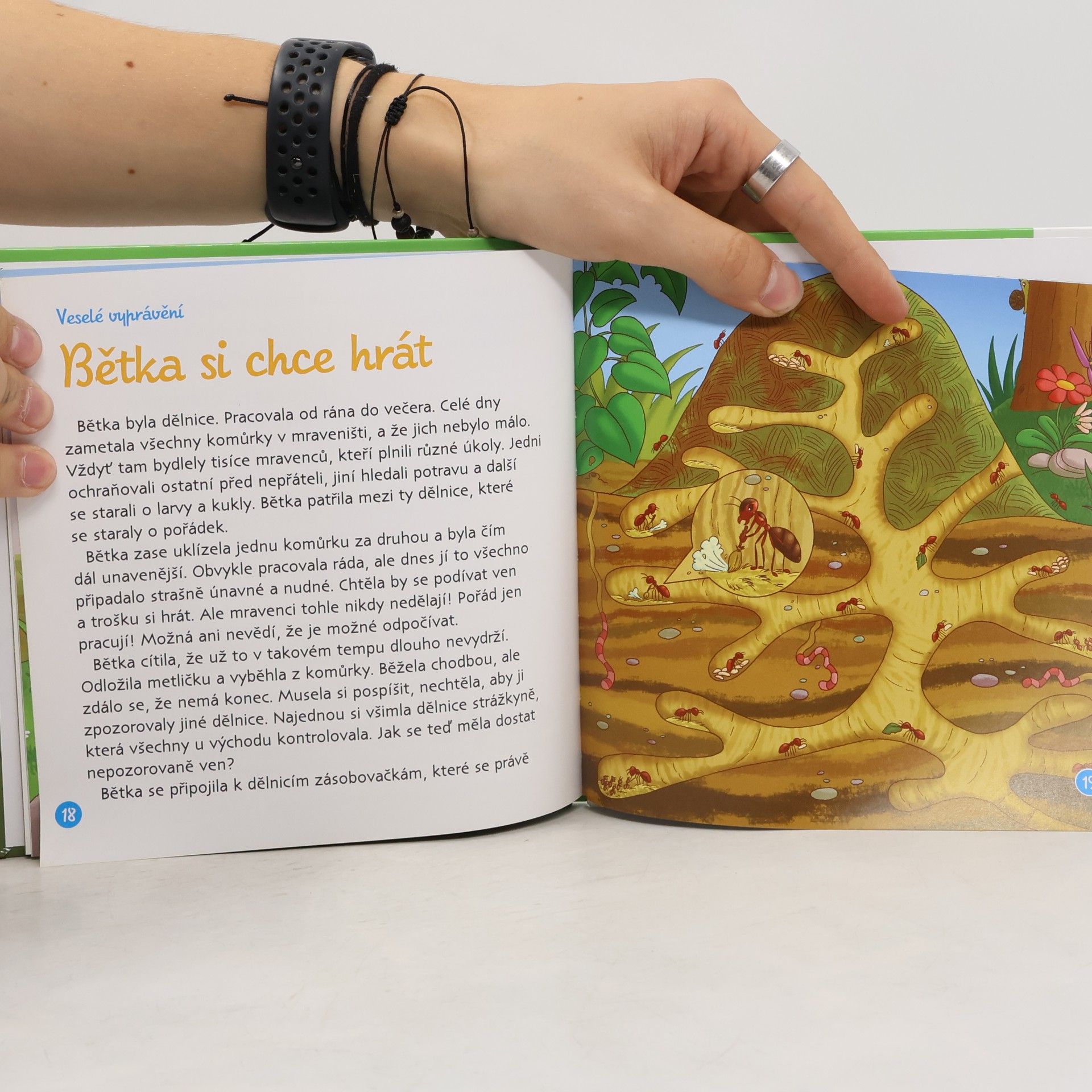 Kolektiv autorů Bydlím v lese