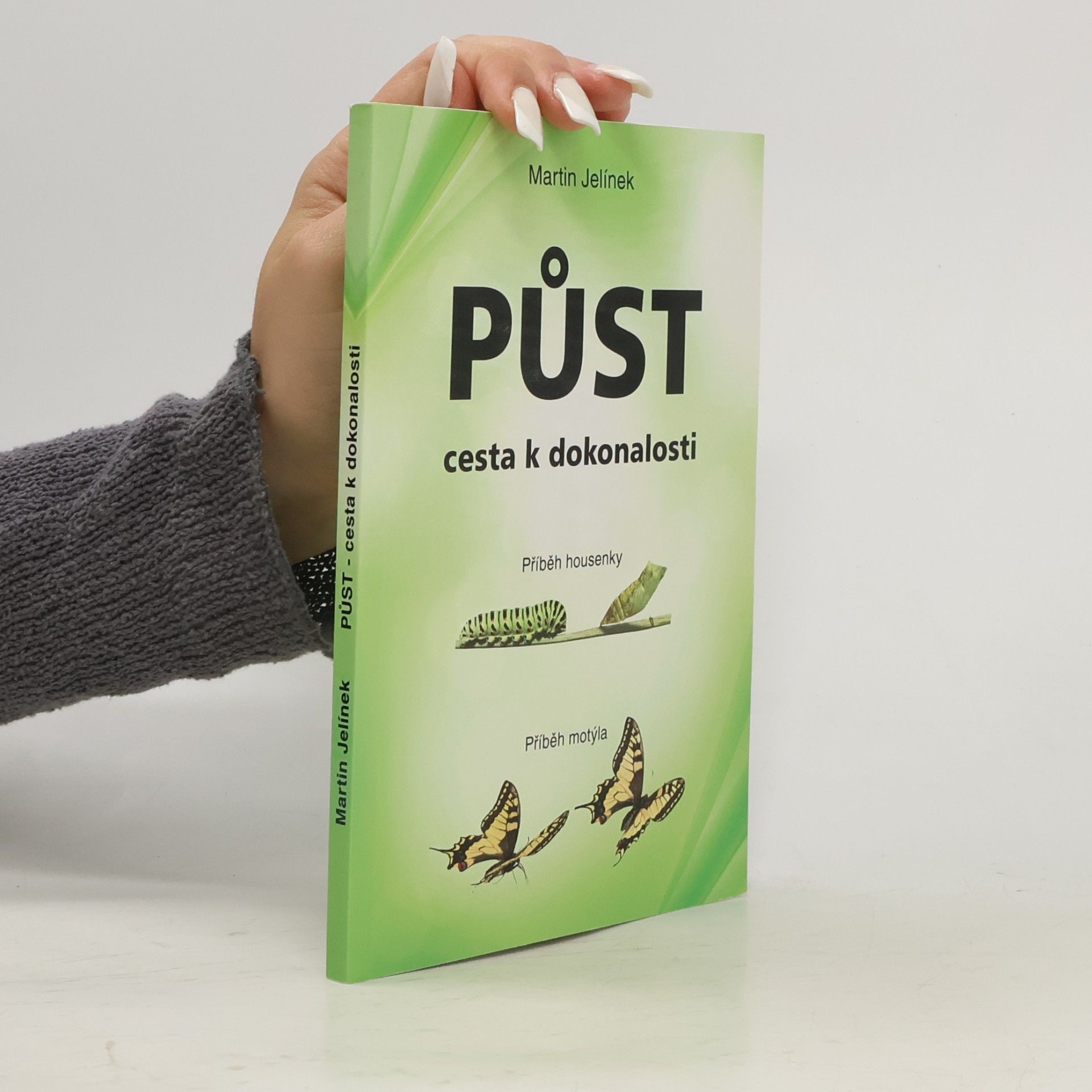 Jelínek Martin Půst - cesta k dokonalosti