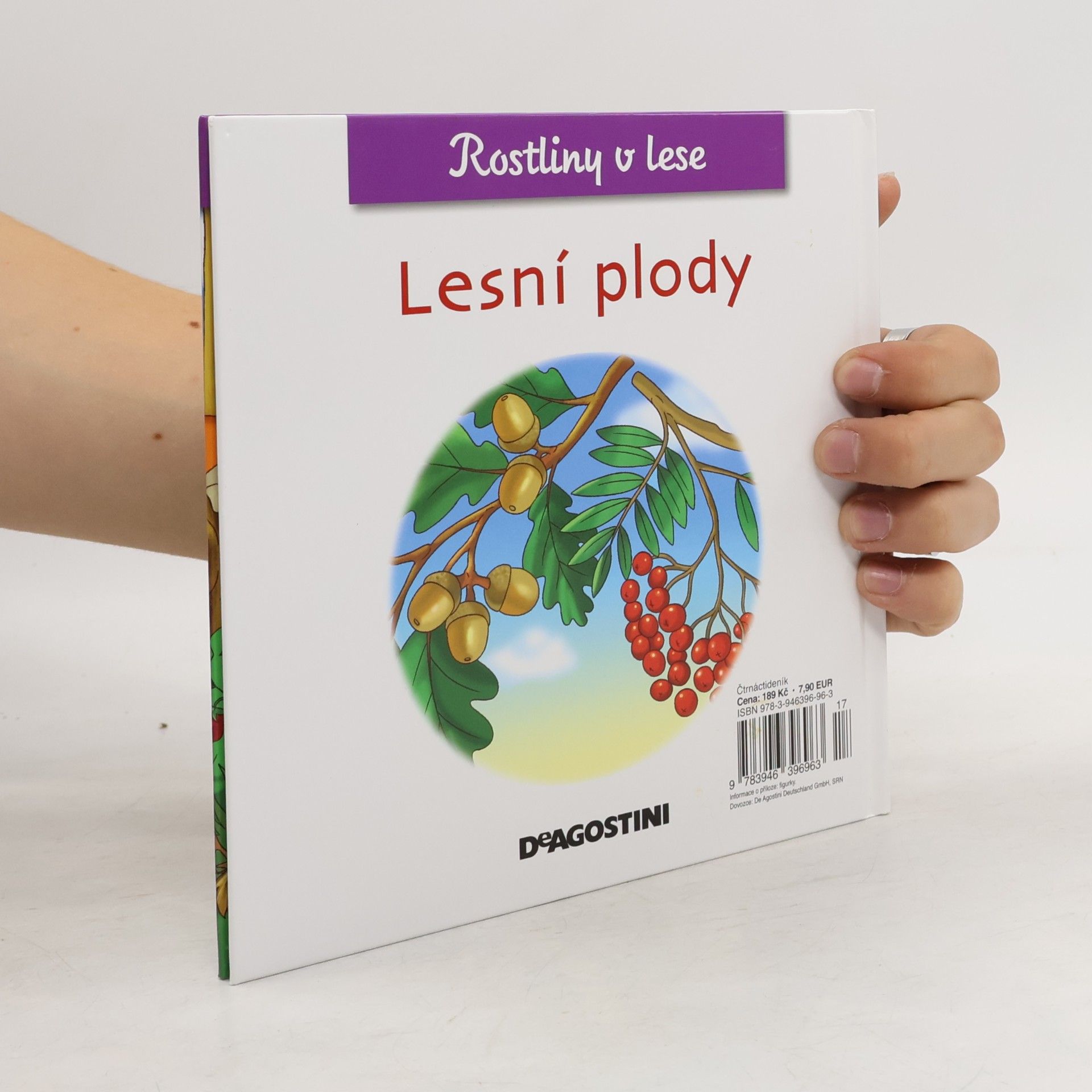 Miluše Rysová Rostliny v lese 44. Lesní plody