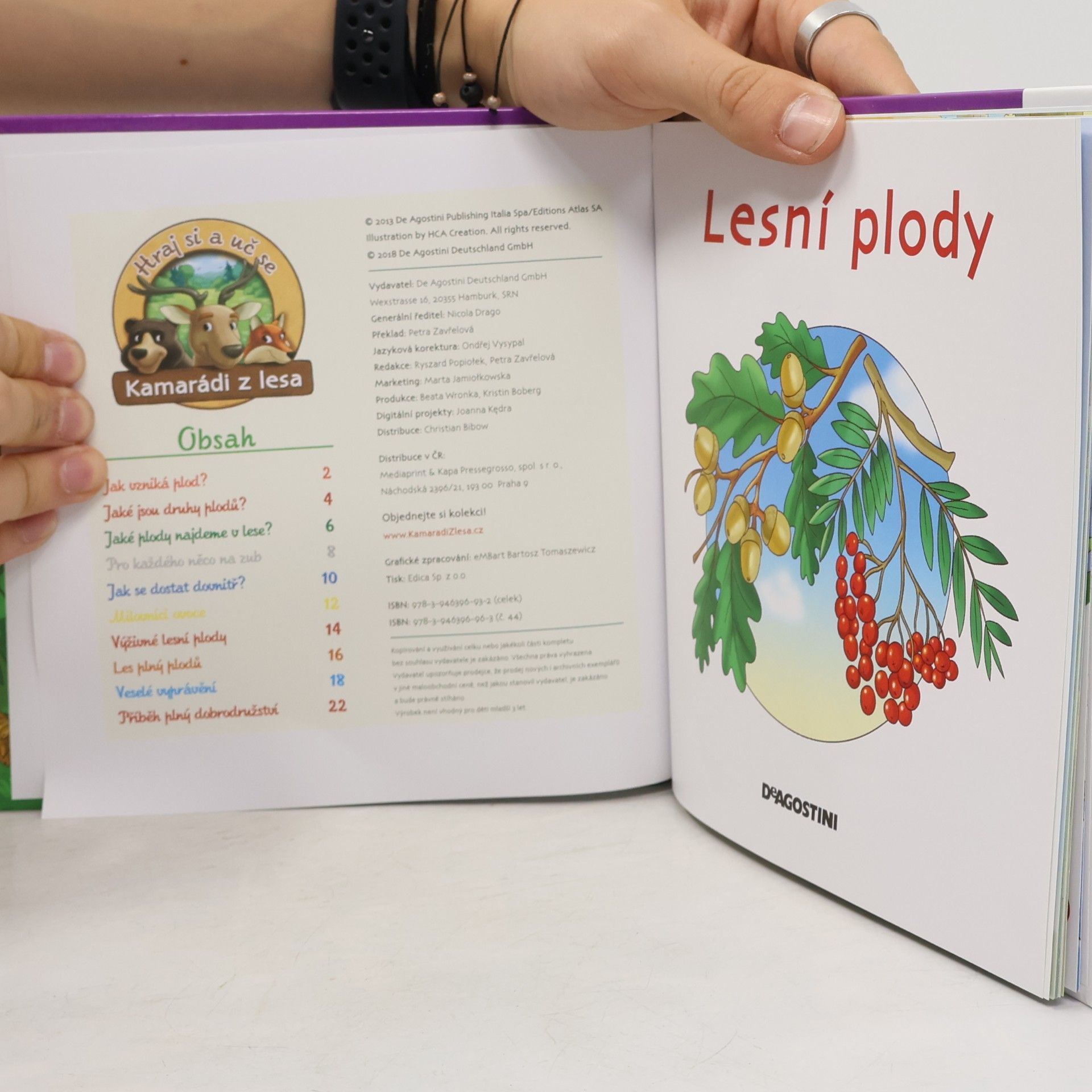 Miluše Rysová Rostliny v lese 44. Lesní plody