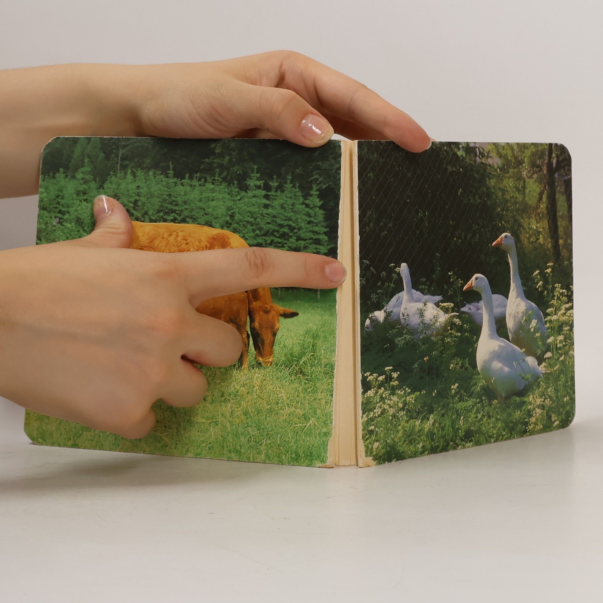 Autores varios Tiere auf dem Bauernhof