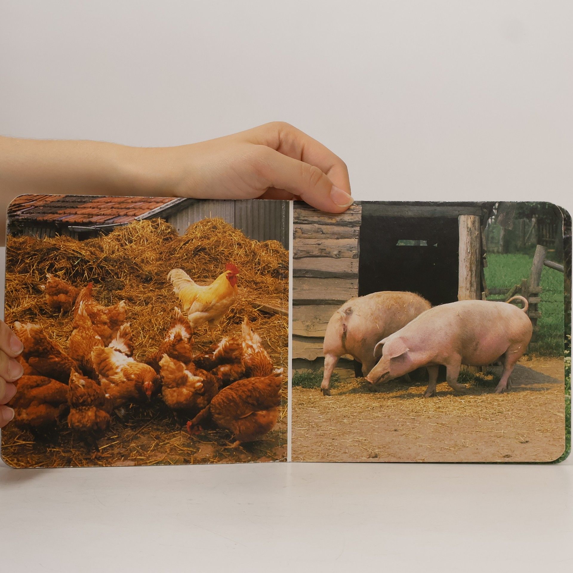 Autores varios Tiere auf dem Bauernhof