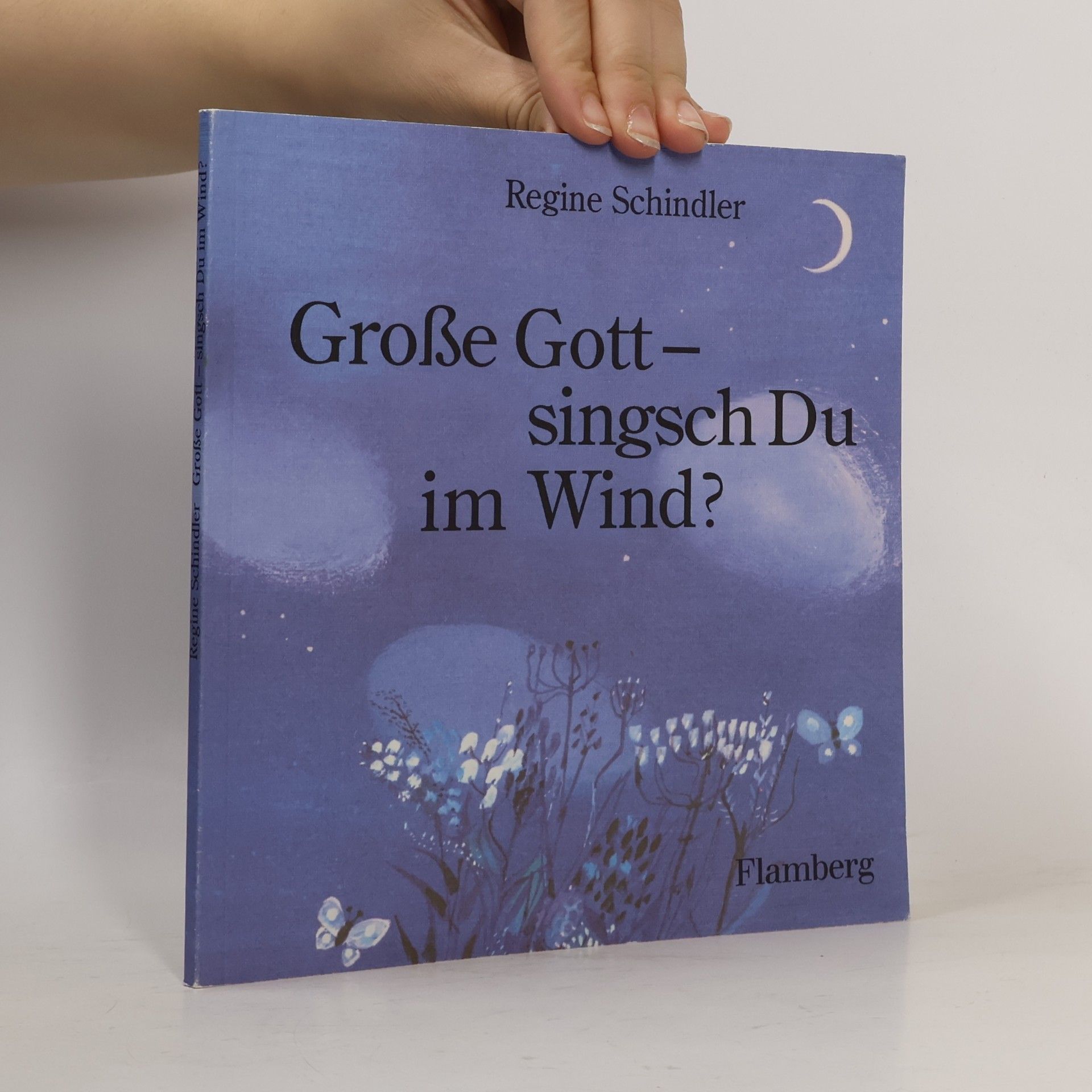 Regine Schindler Grosse Gott - singsch Du im Wind?