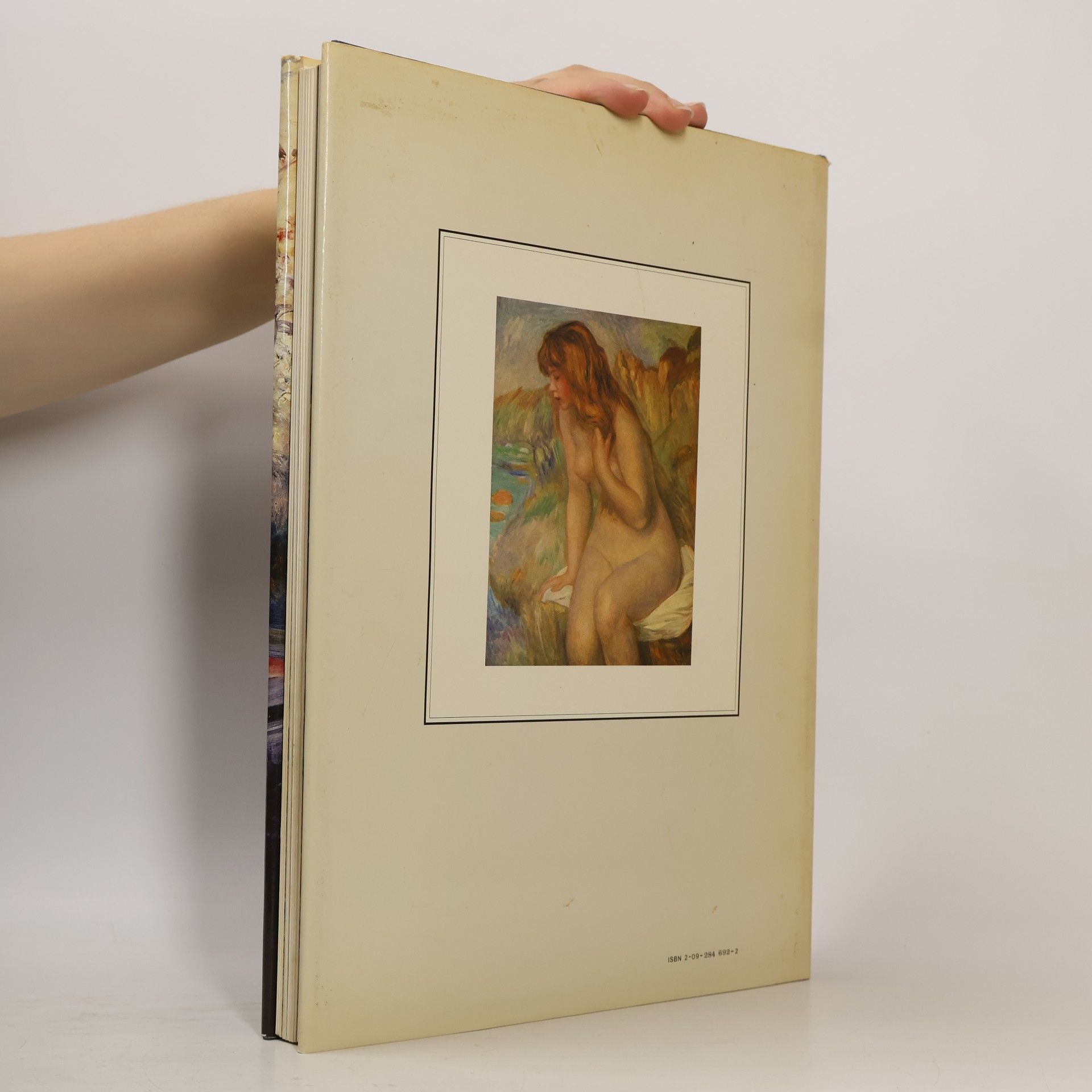 Denis Rouart Renoir