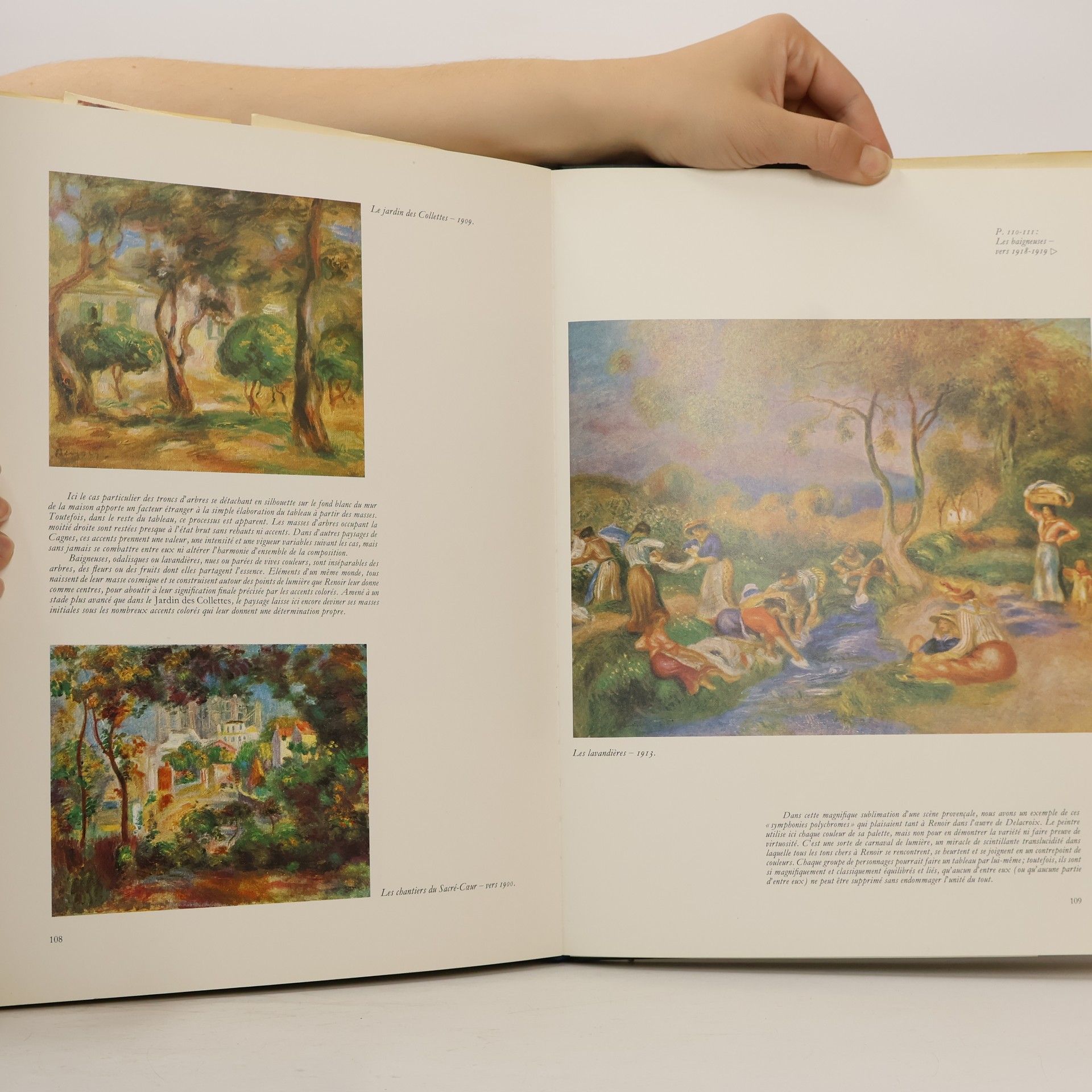 Denis Rouart Renoir